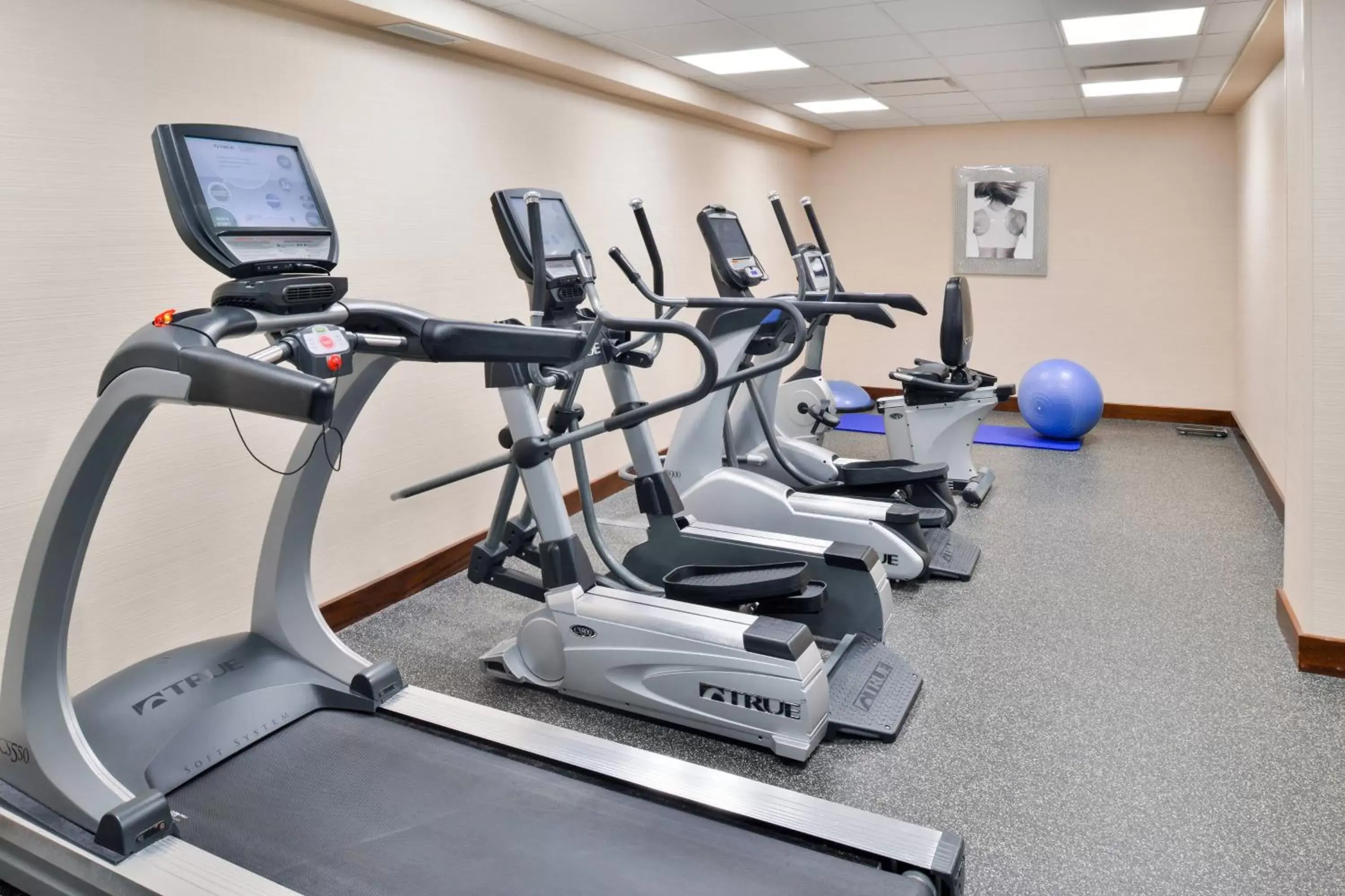 Fitness centre/facilities, Fitness Center/Facilities in Fairfield Inn and Suites by Marriott Rochester West/Greece