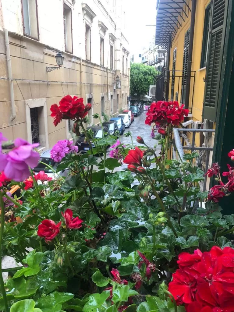 Spring in Ai Tintori