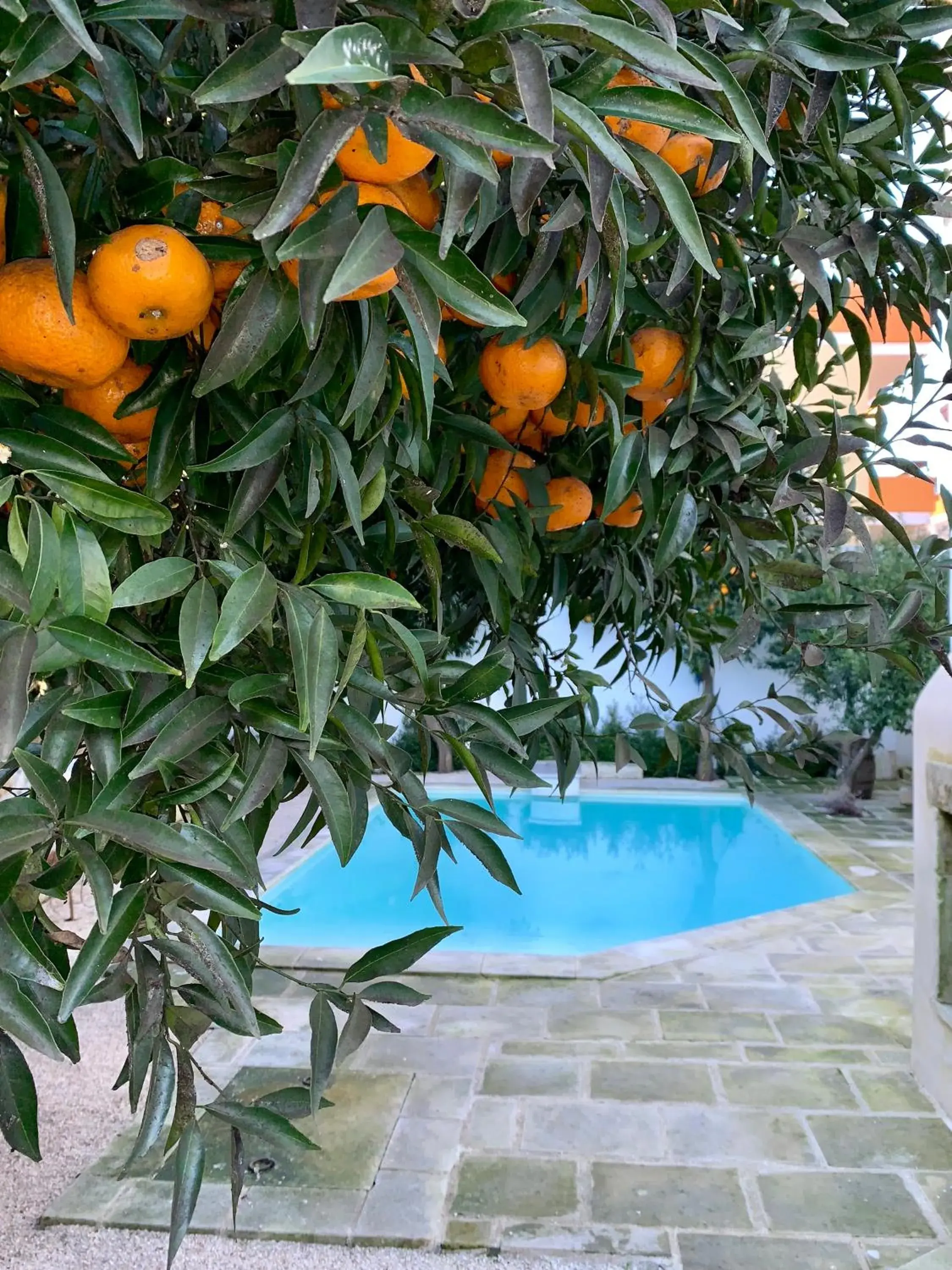 Swimming Pool in Palazzo Castriota Scanderberg