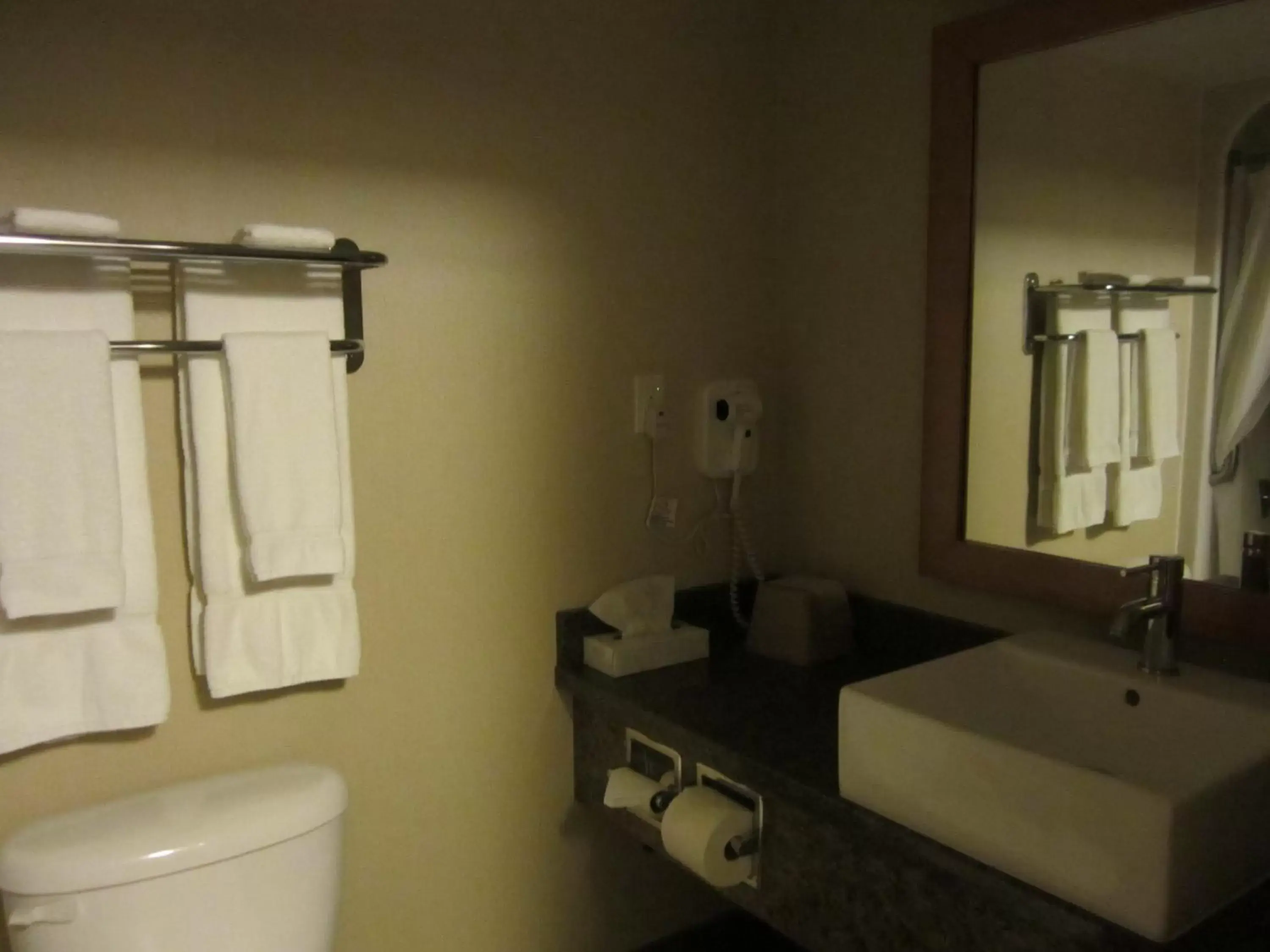 Bathroom in Woodlands Inn & Suites