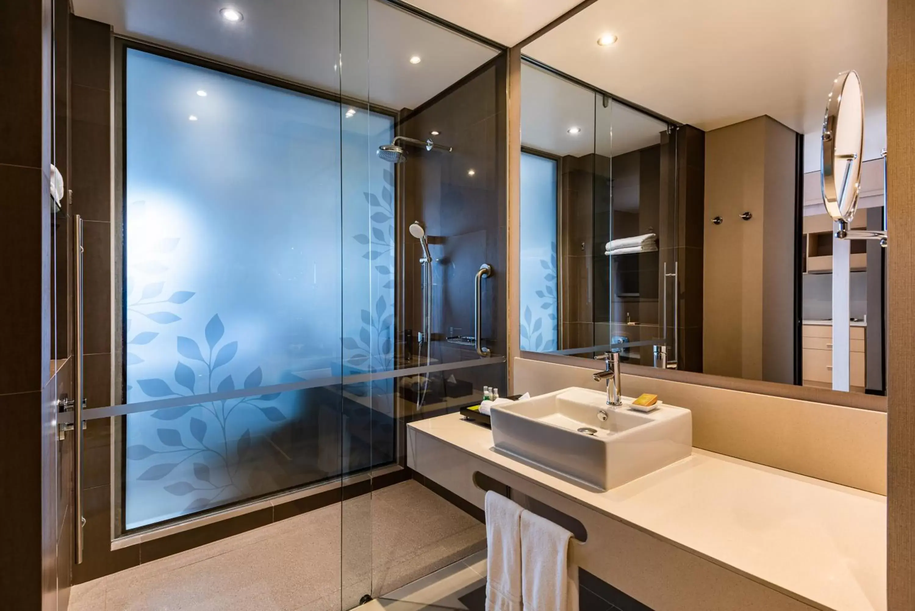 Shower, Bathroom in Hilton DoubleTree Bogotá Salitre AR
