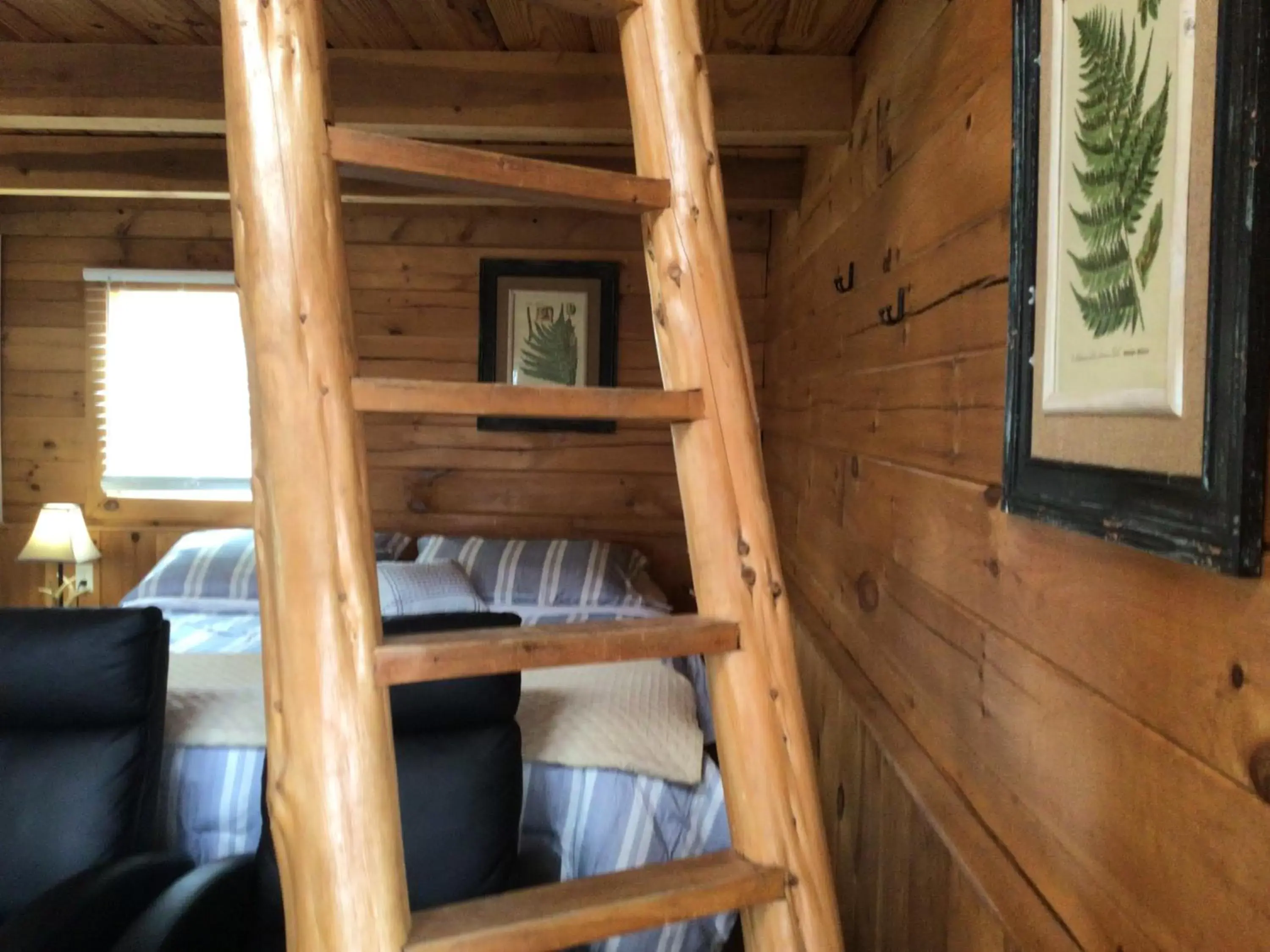 Bed, Bunk Bed in Kozy Haven Log Cabin Rentals