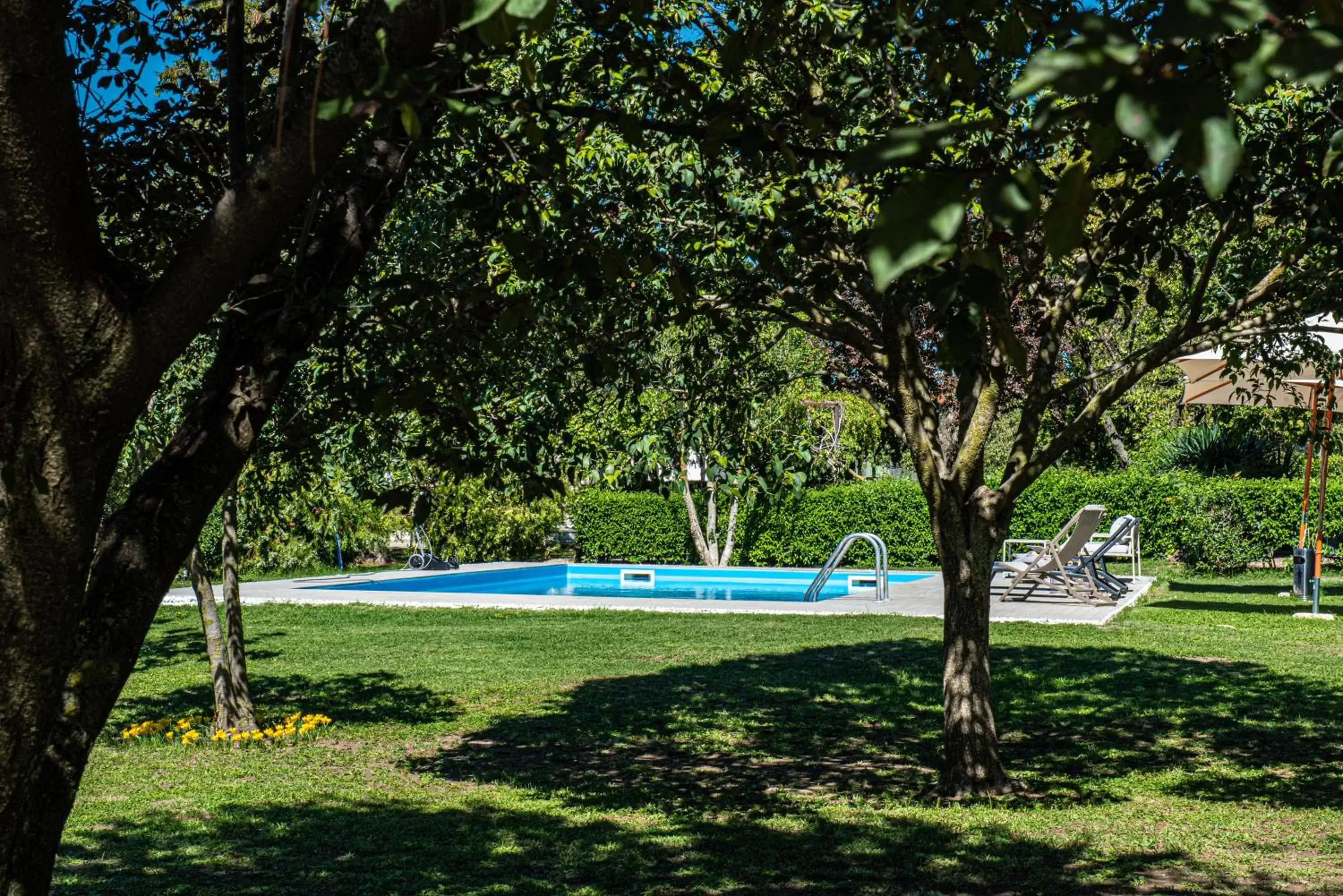 Garden, Swimming Pool in Terre Etrusche Guest House