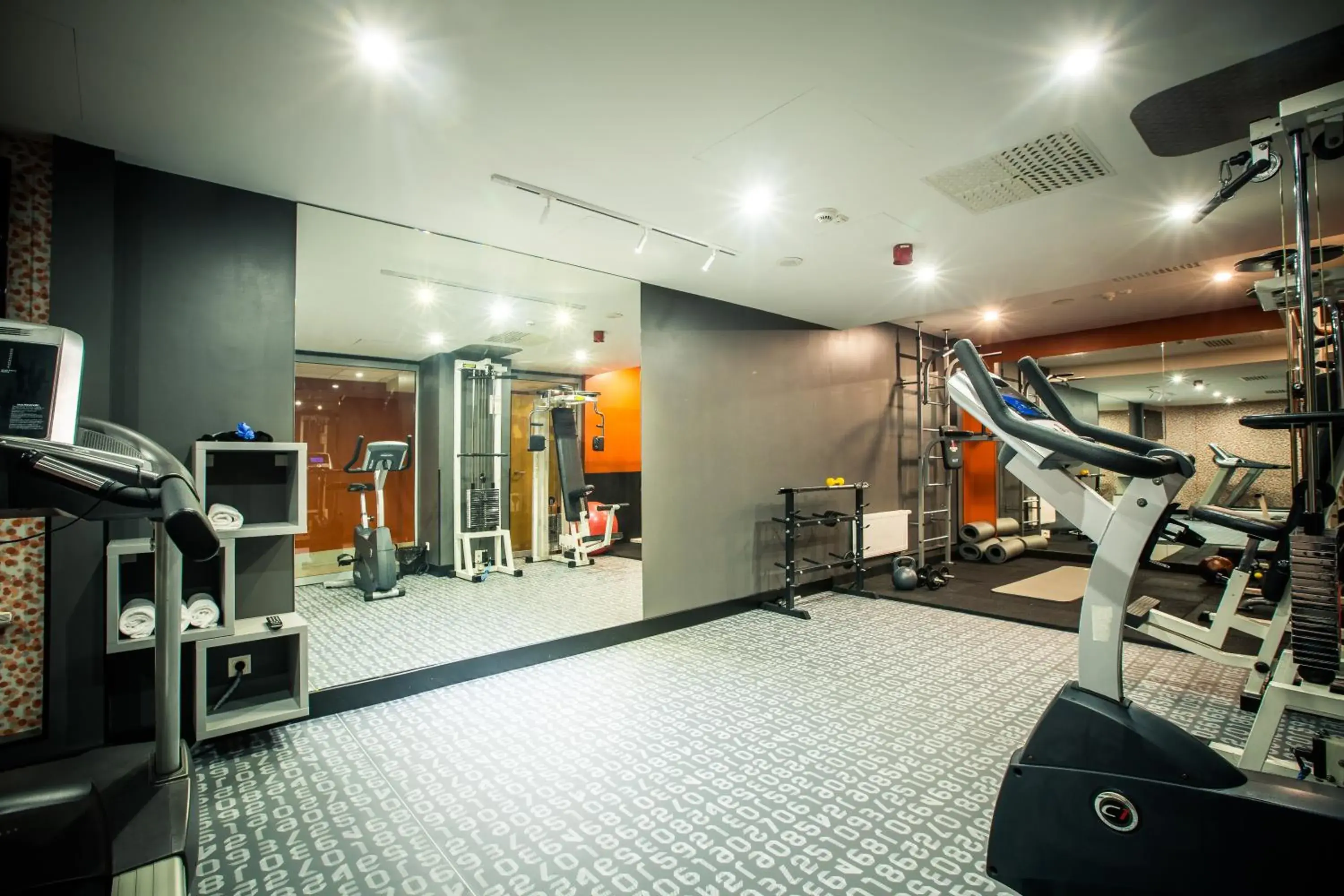 Fitness centre/facilities, Fitness Center/Facilities in Mercure Riga Centre