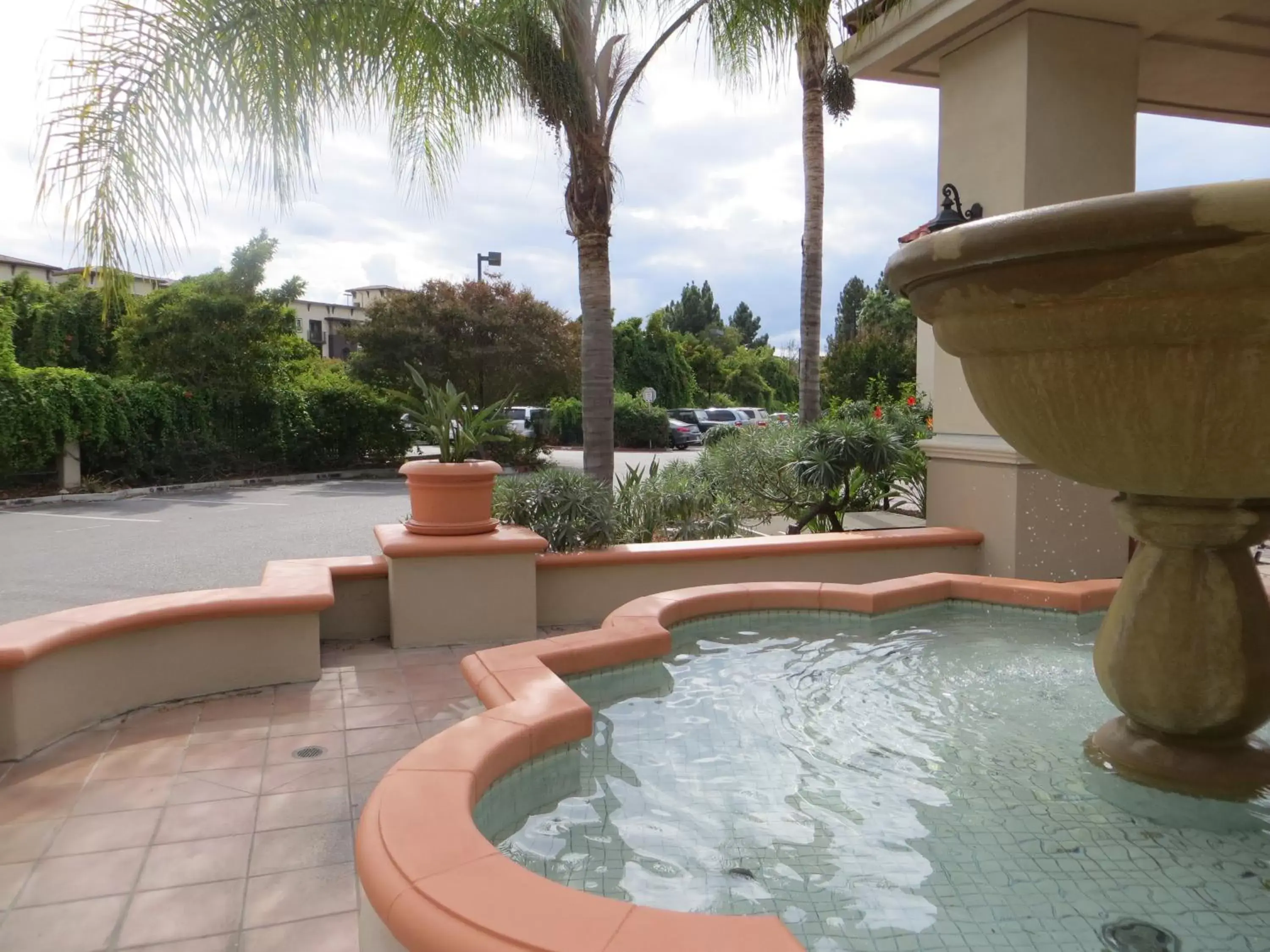 Decorative detail, Swimming Pool in Wyndham Garden San Jose Airport