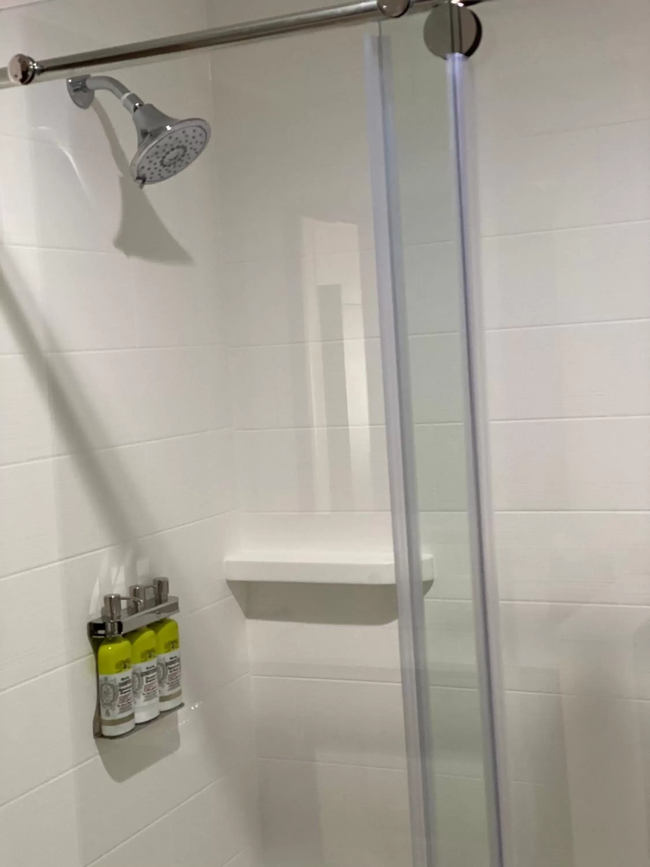 Shower, Bathroom in Holiday Inn Express & Suites Chatsworth, an IHG Hotel