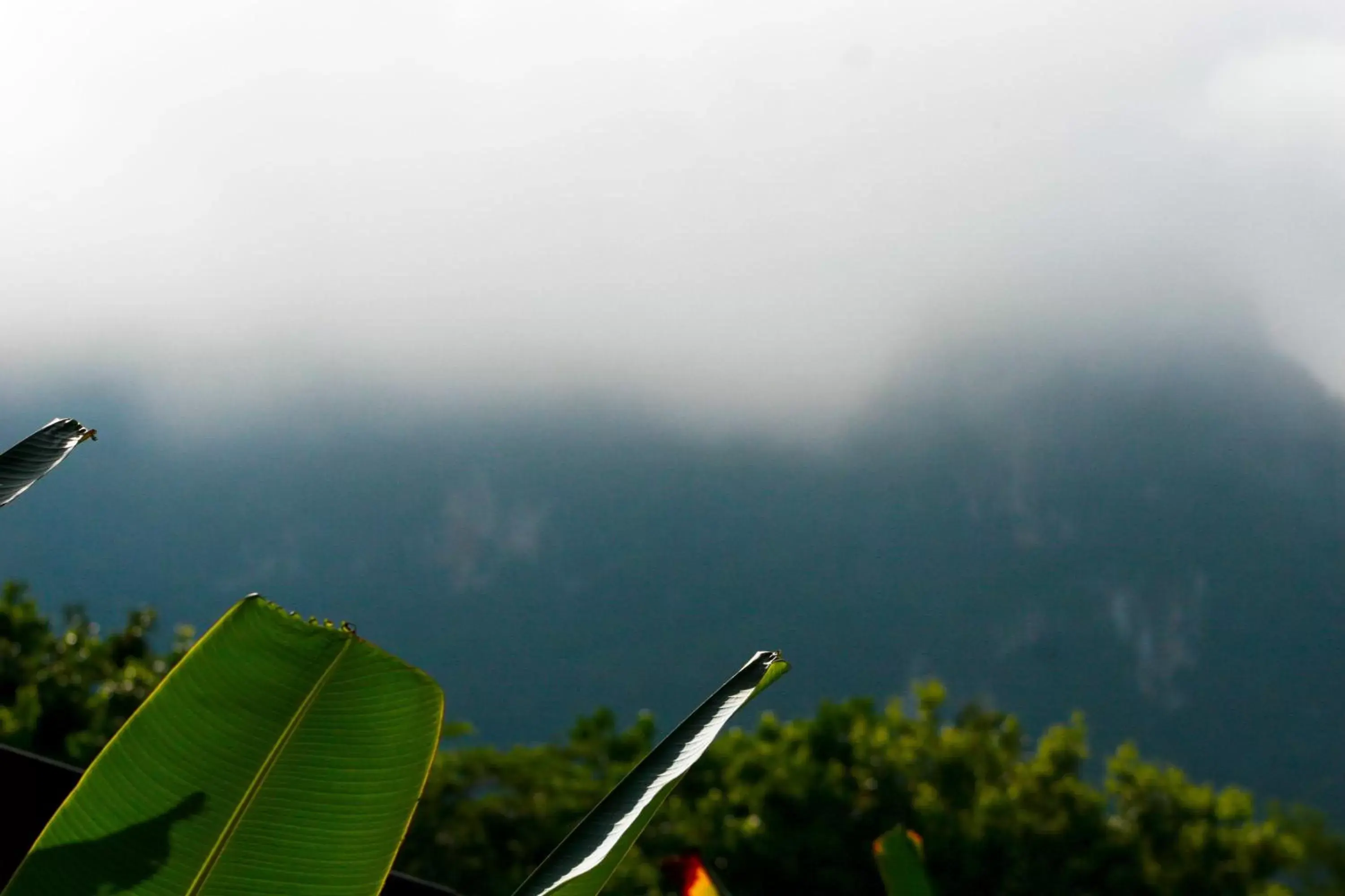 Property building in Khao Sok Morning Mist Resort