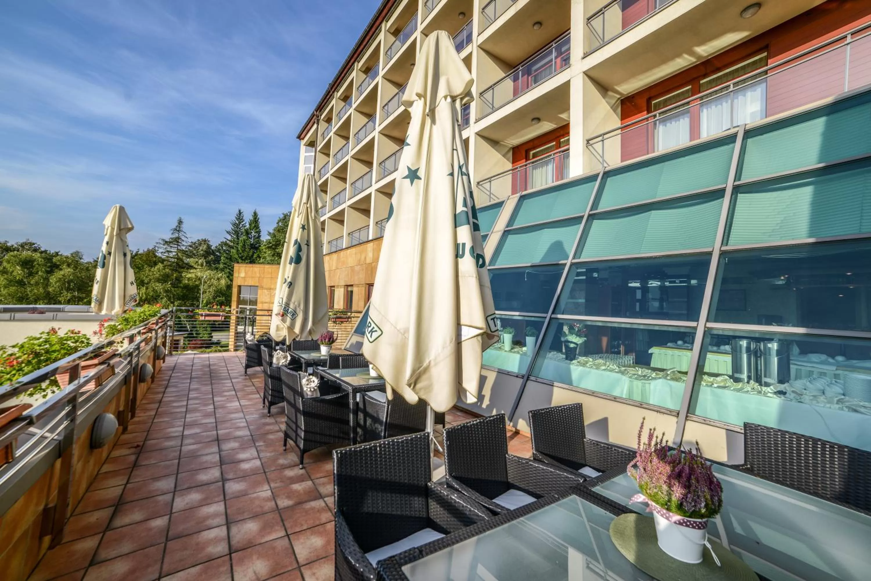 Balcony/Terrace in Hotel Belweder