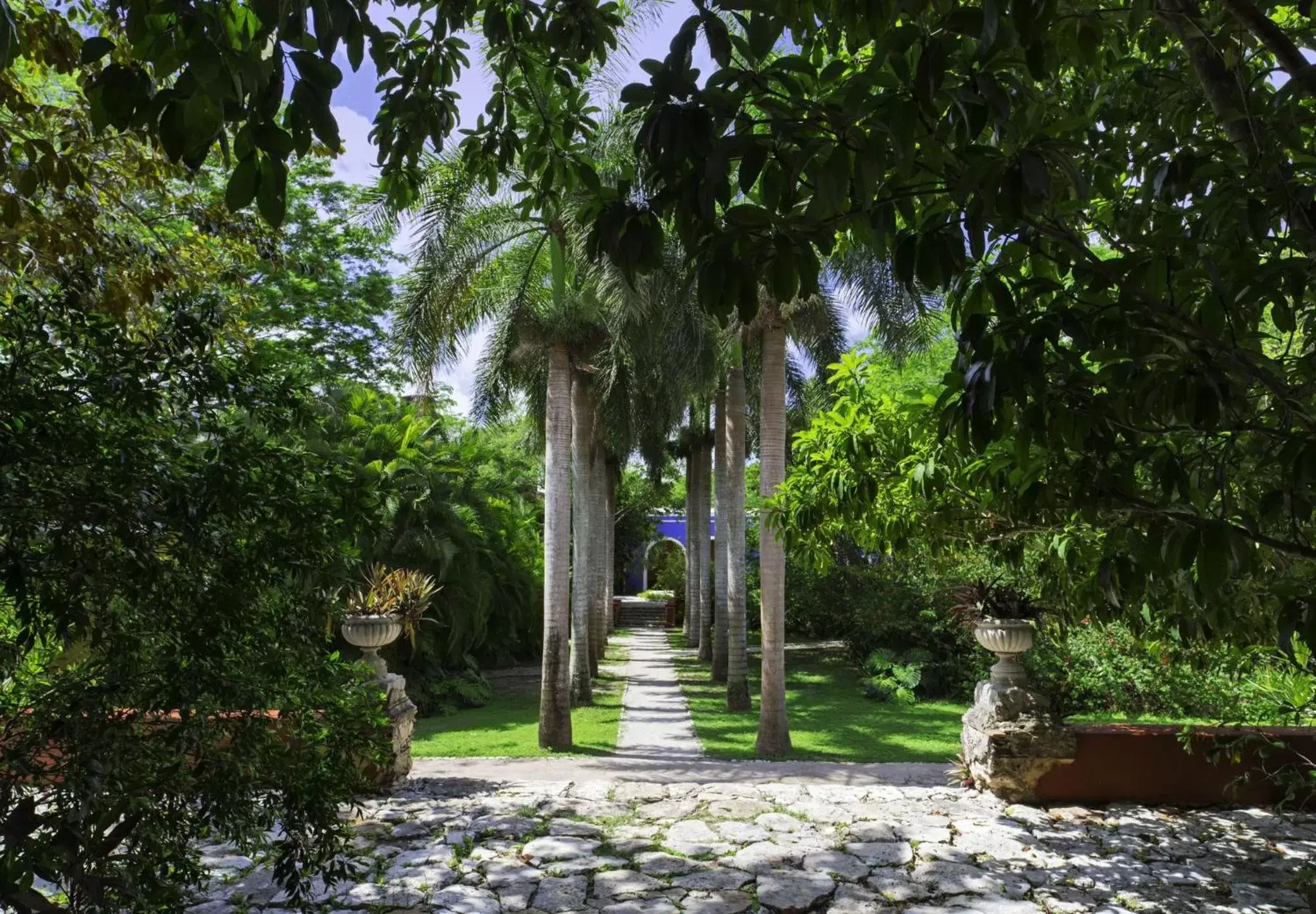 Property building, Garden in Hacienda San Jose