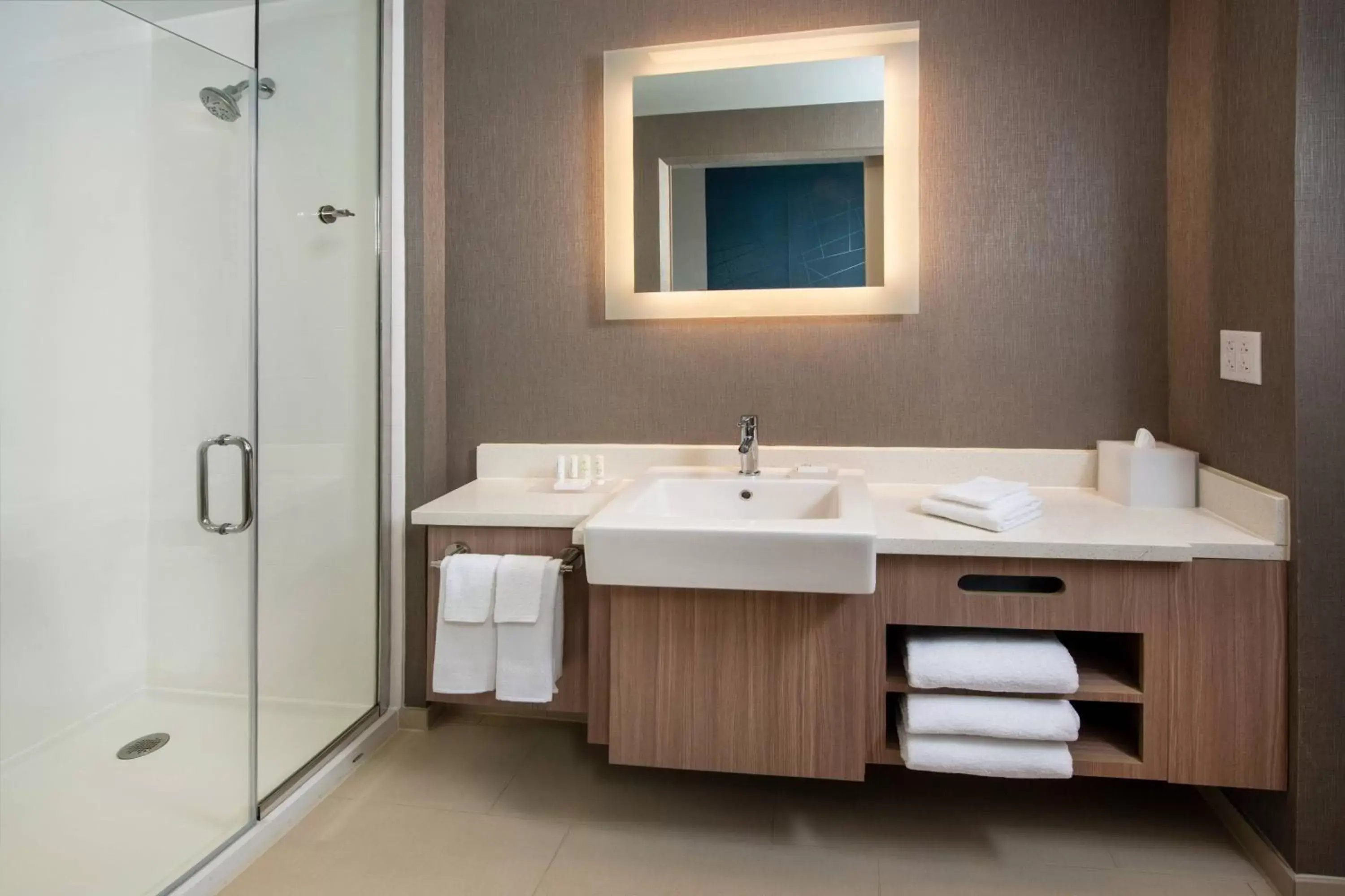 Bathroom in SpringHill Suites By Marriott Frederick