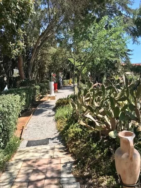 Garden in La cactée singulière