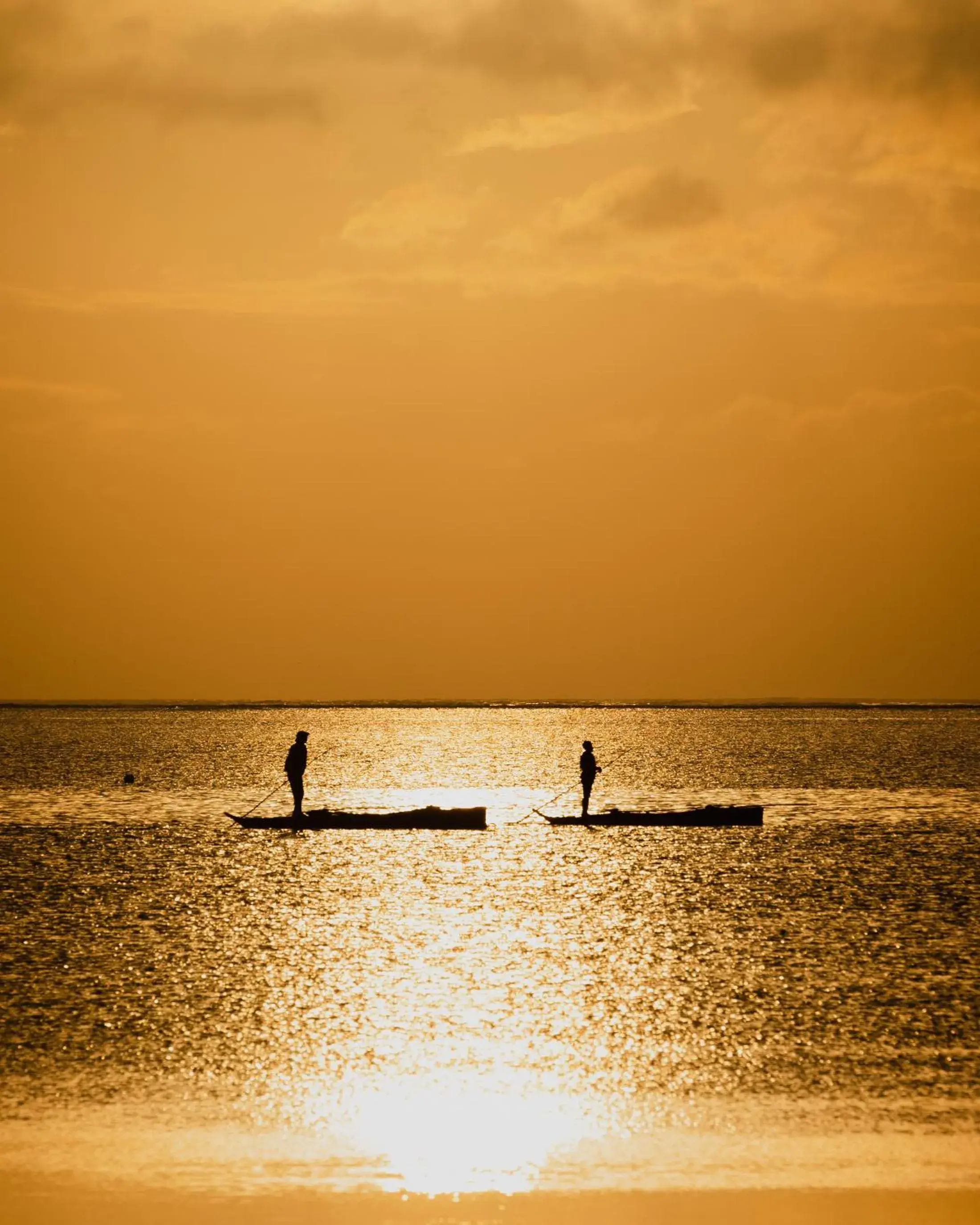 Natural landscape, Beach in Hakuna Majiwe Beach Lodge Zanzibar