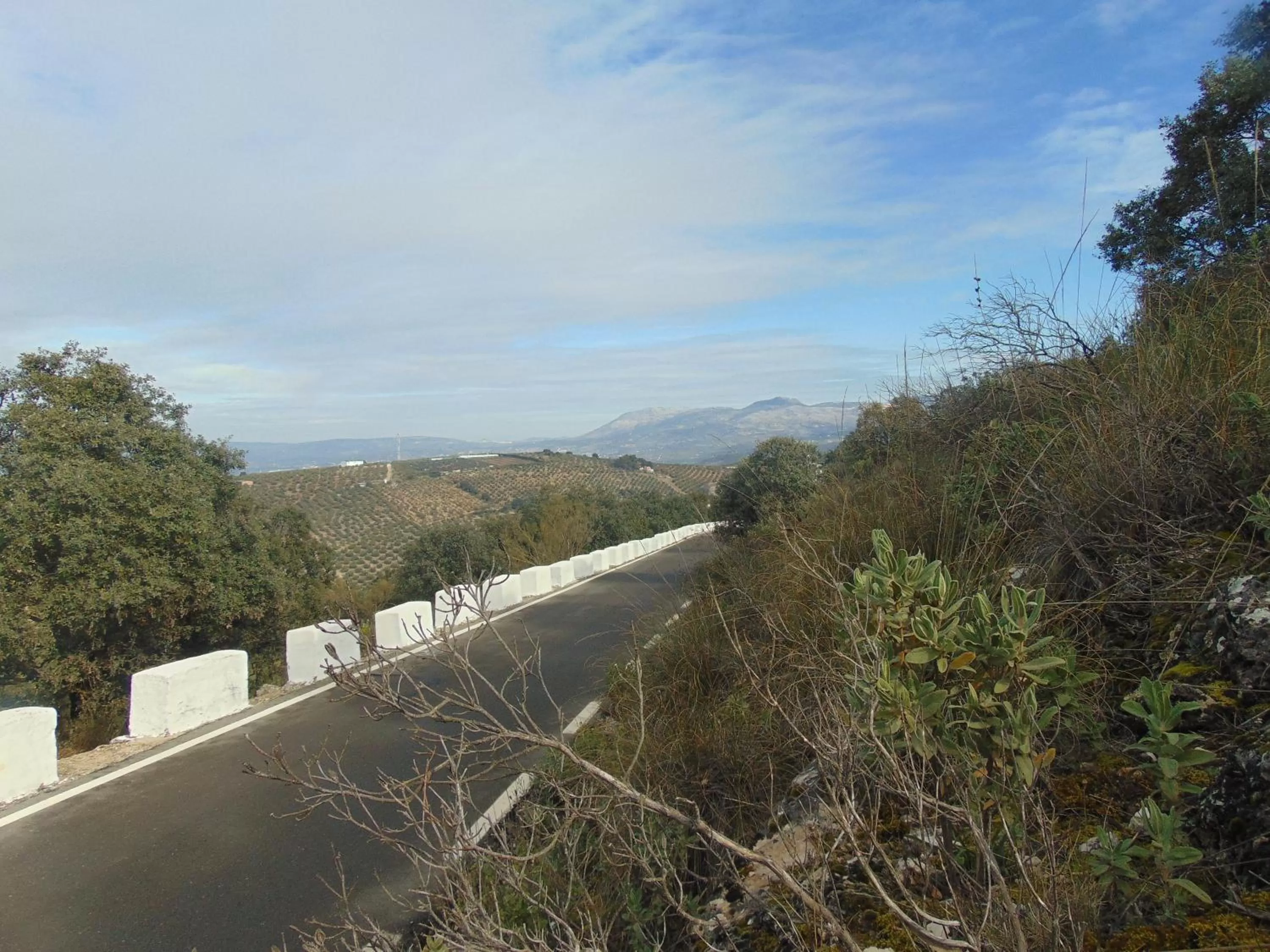 Area and facilities in Hotel Sierra de Araceli Lucena