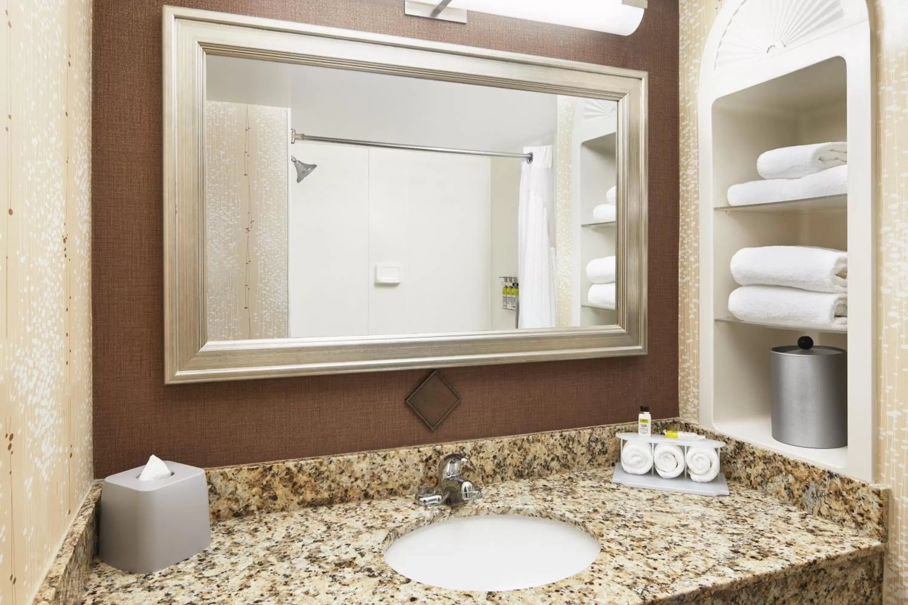 Bathroom in Holiday Inn Express & Suites I-26 & Us 29 At Westgate Mall, an IHG Hotel