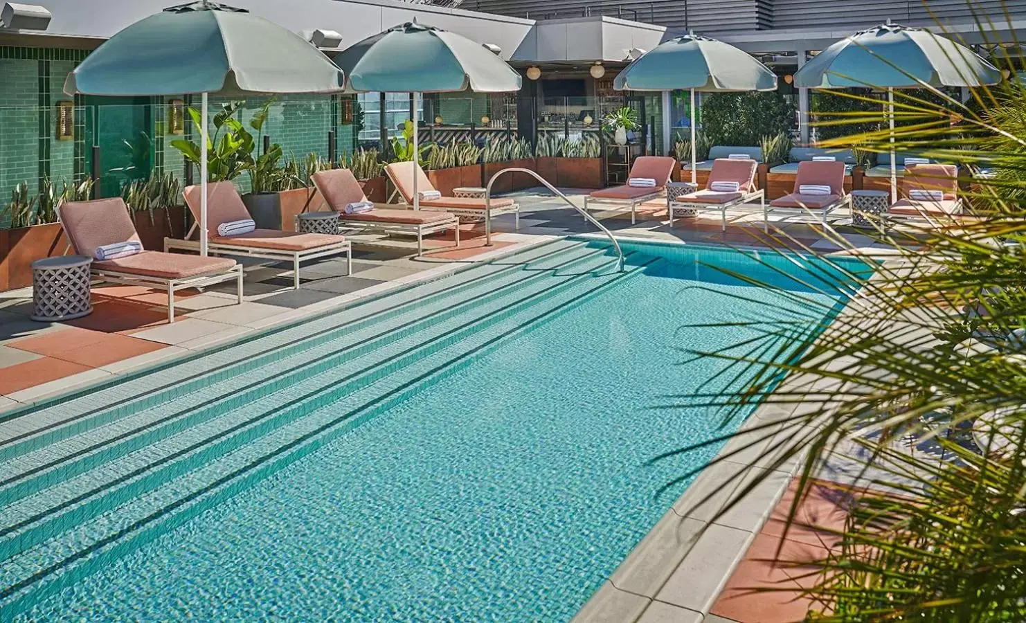 Swimming Pool in Pendry West Hollywood