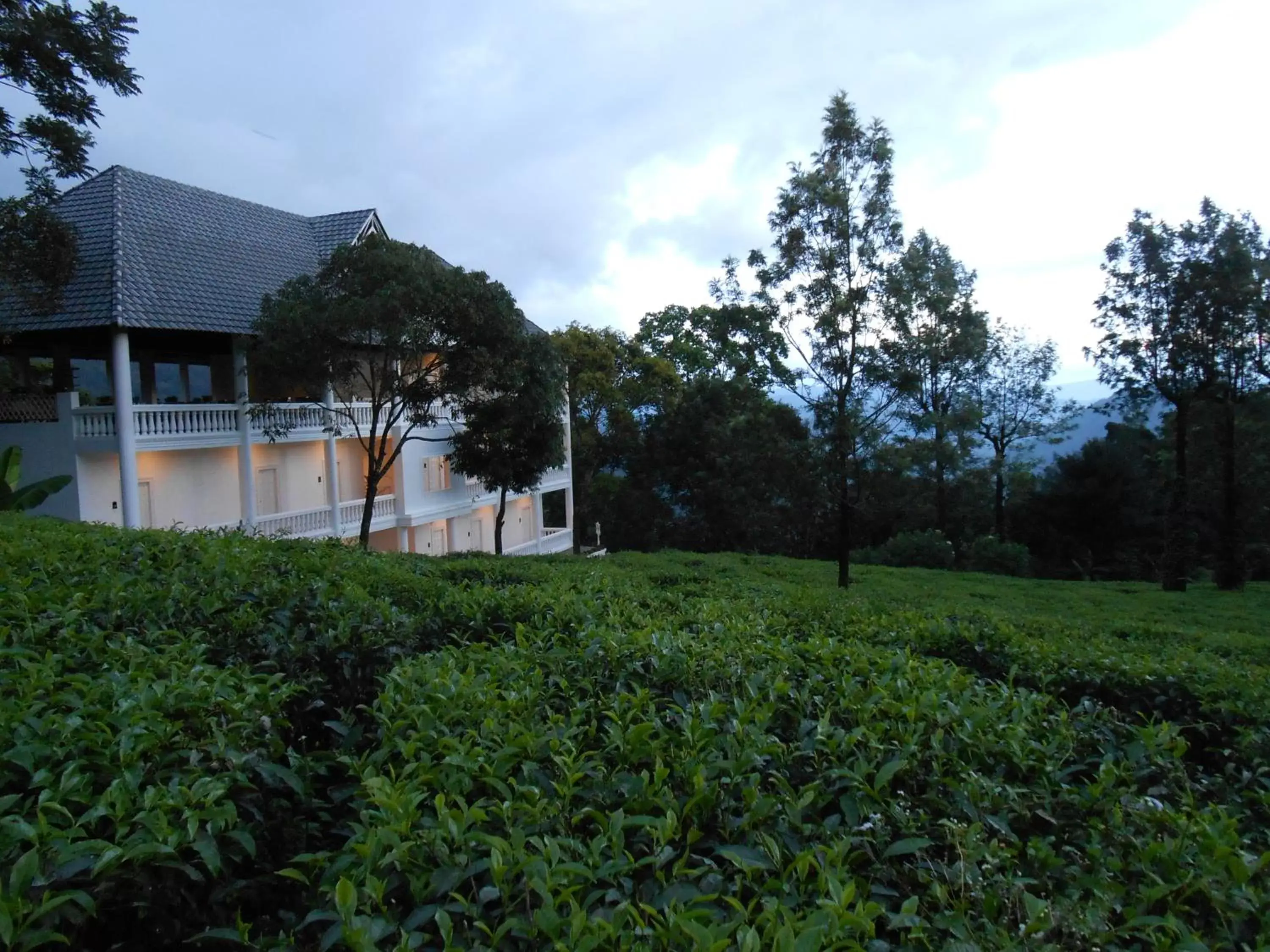 Facade/entrance, Property Building in Tea Harvester