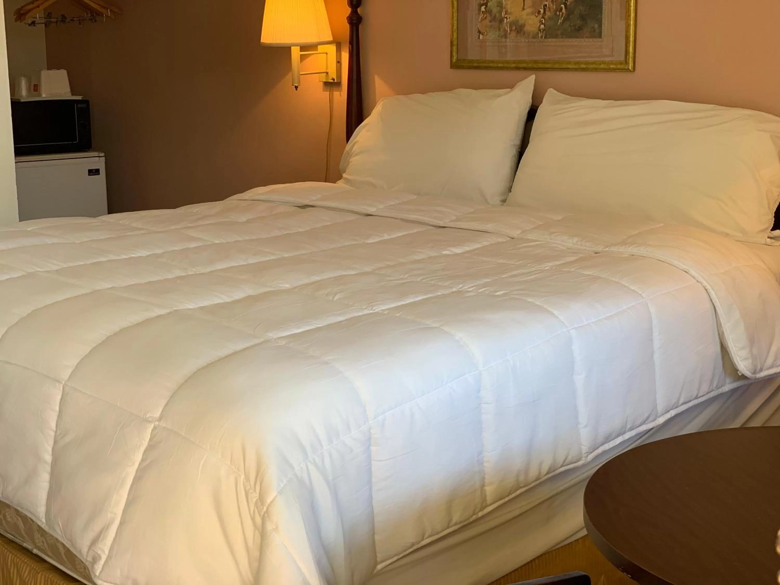 Photo of the whole room, Bed in Red Carpet Inn - Gettysburg