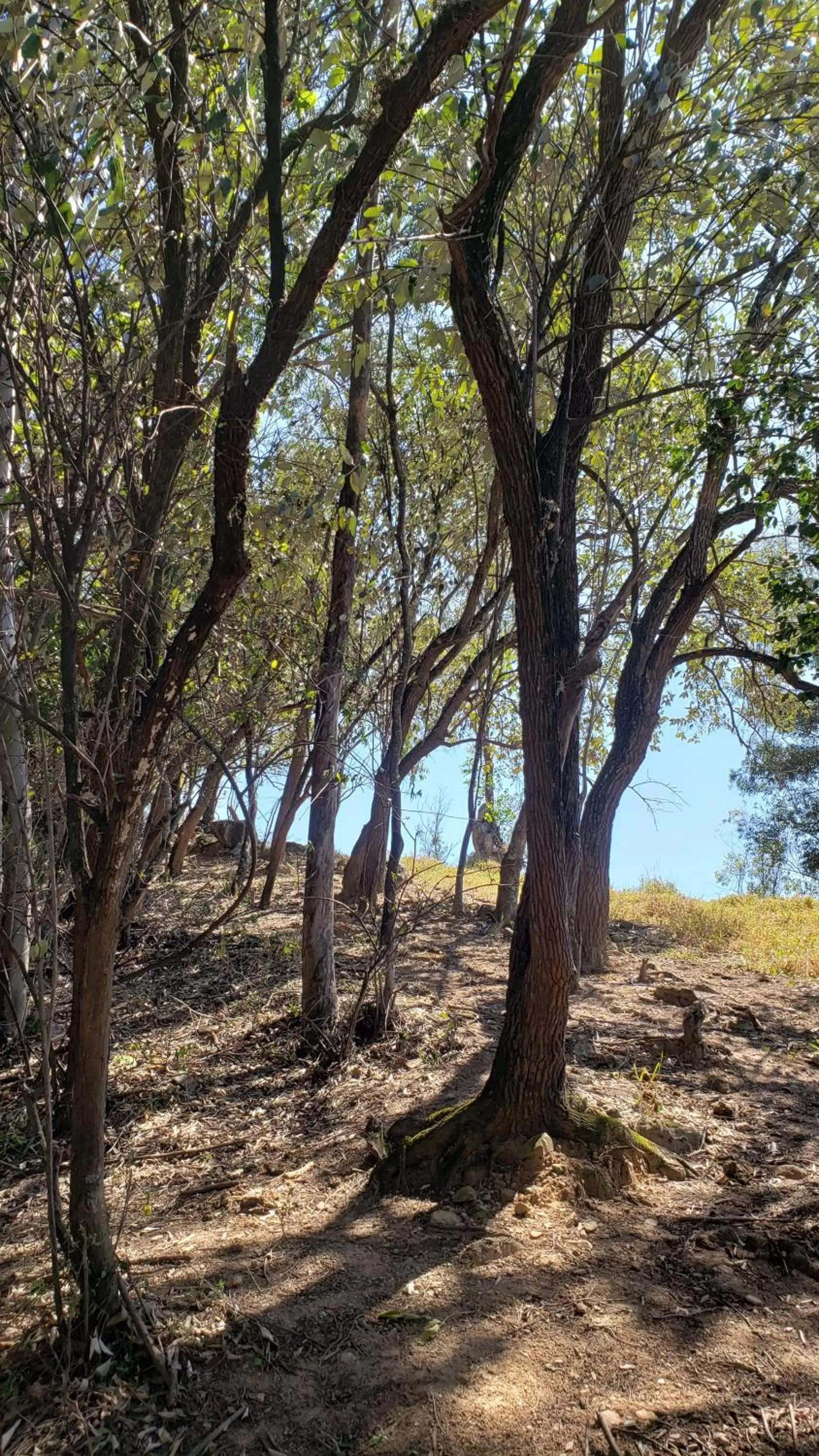 Hiking in Pousada Solar da Montanha