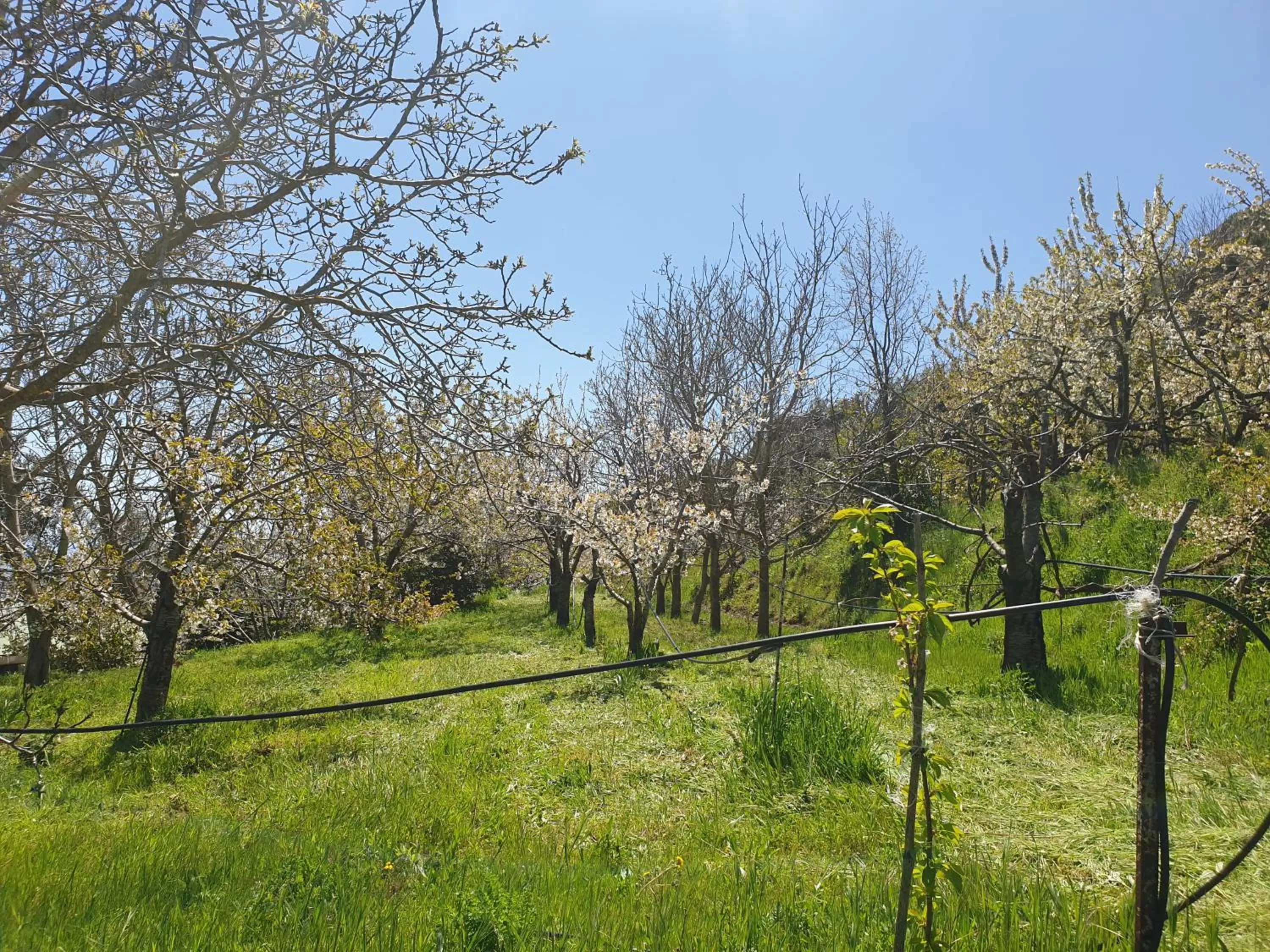 Garden in Oasi del benessere