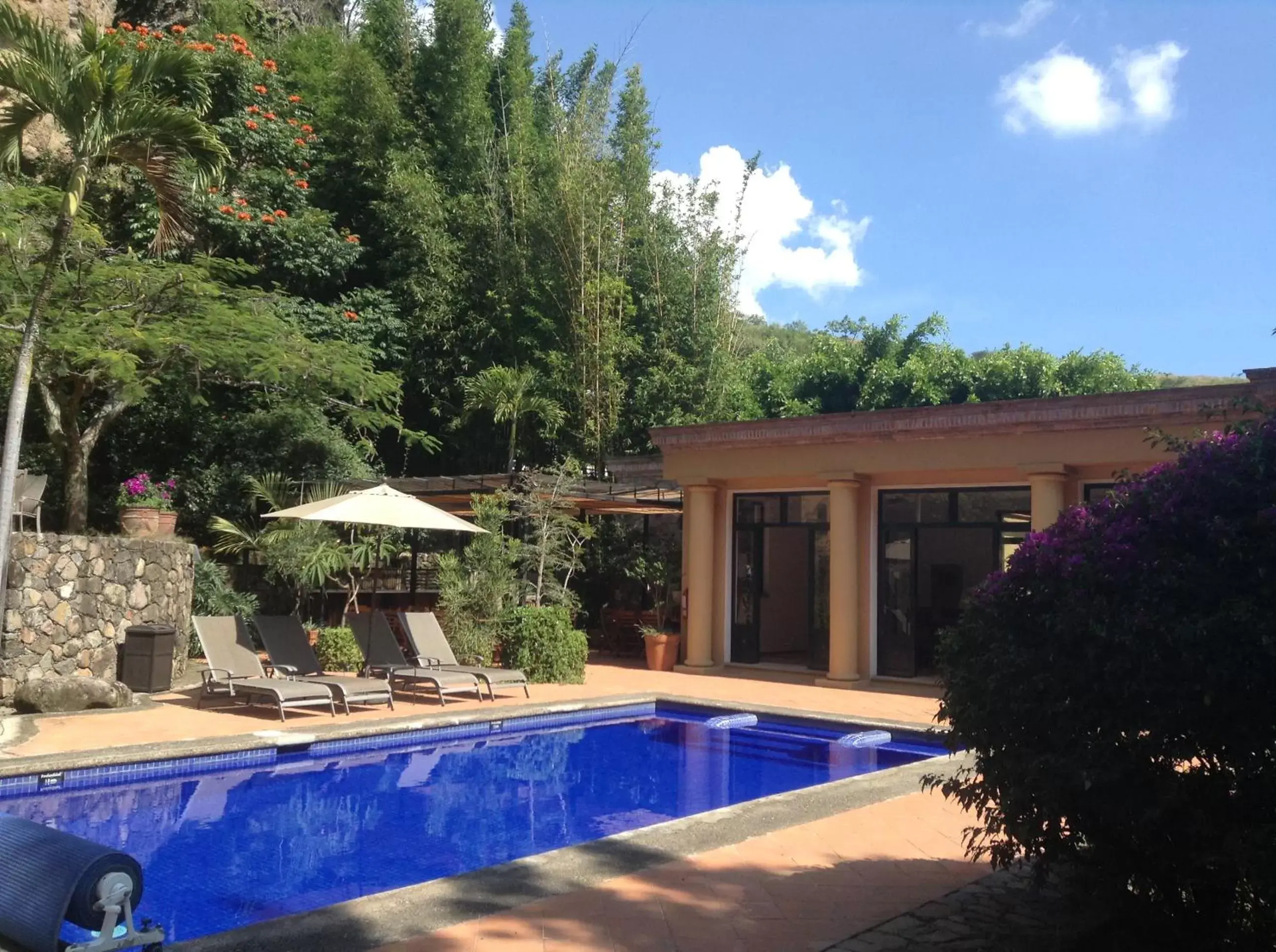 Swimming Pool in Casa Alamillo Hotel Boutique