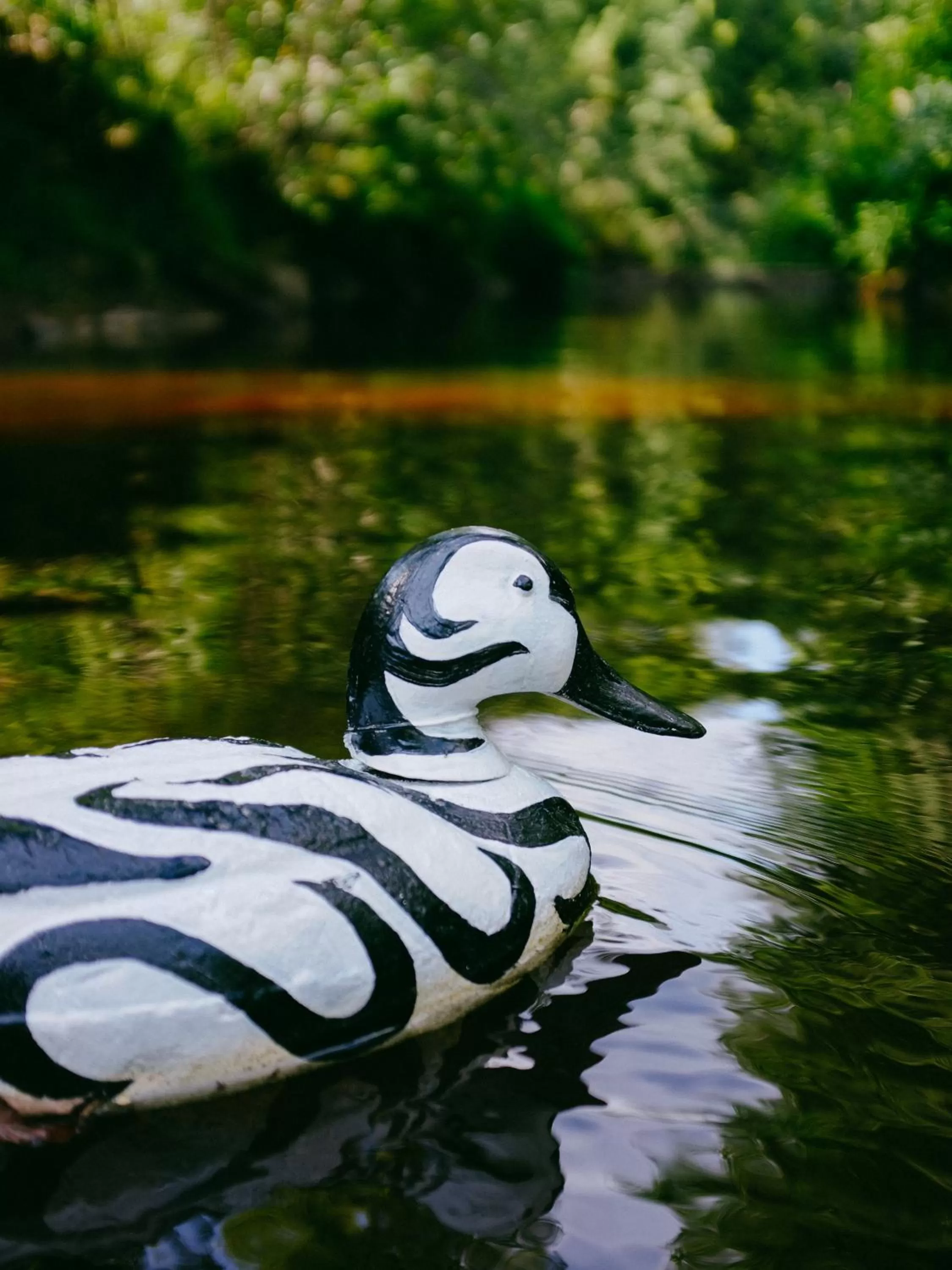 Natural landscape, Other Animals in Baggå Skola BnB & Café