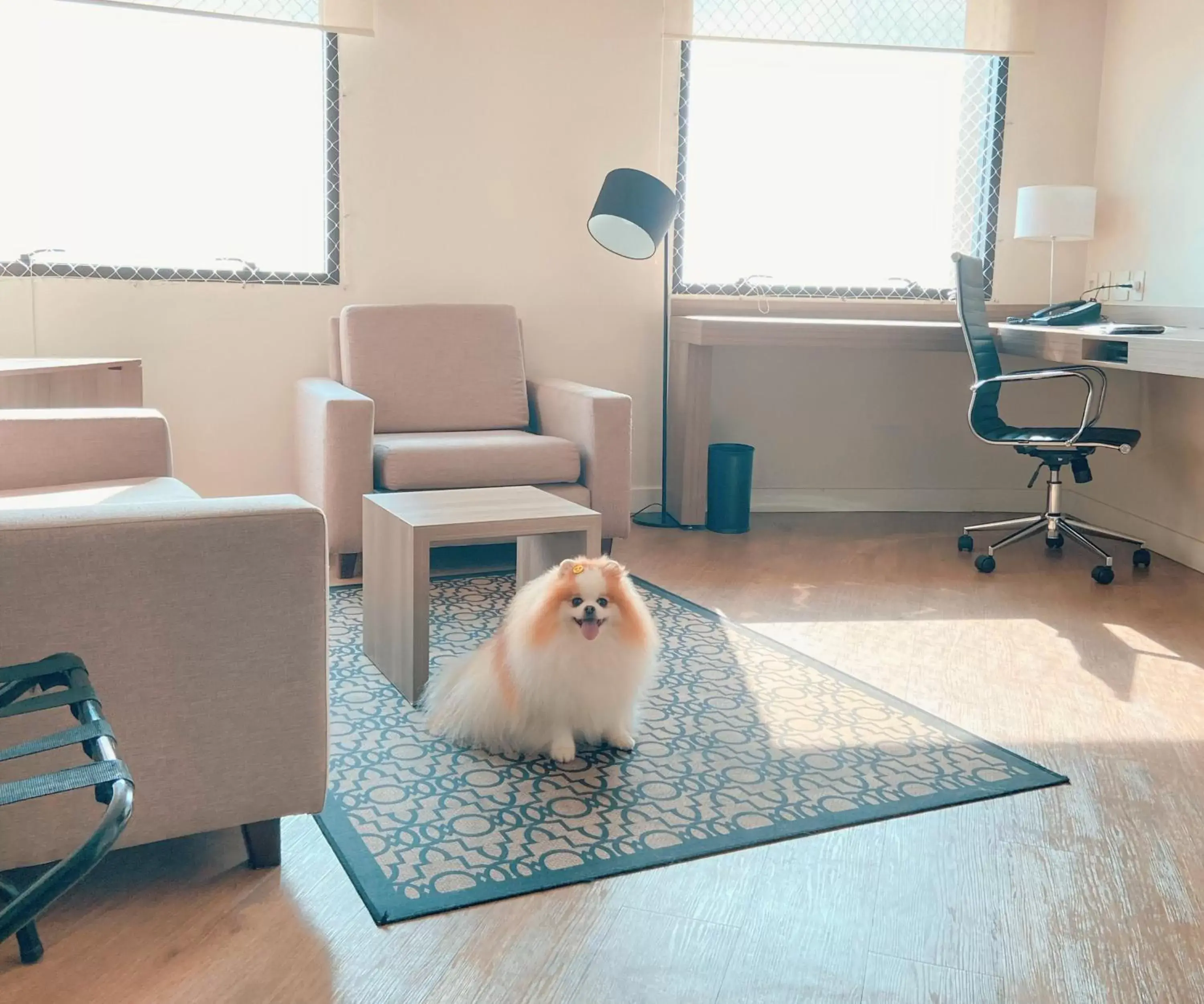 Photo of the whole room, Pets in Staybridge Suites São Paulo, an IHG Hotel