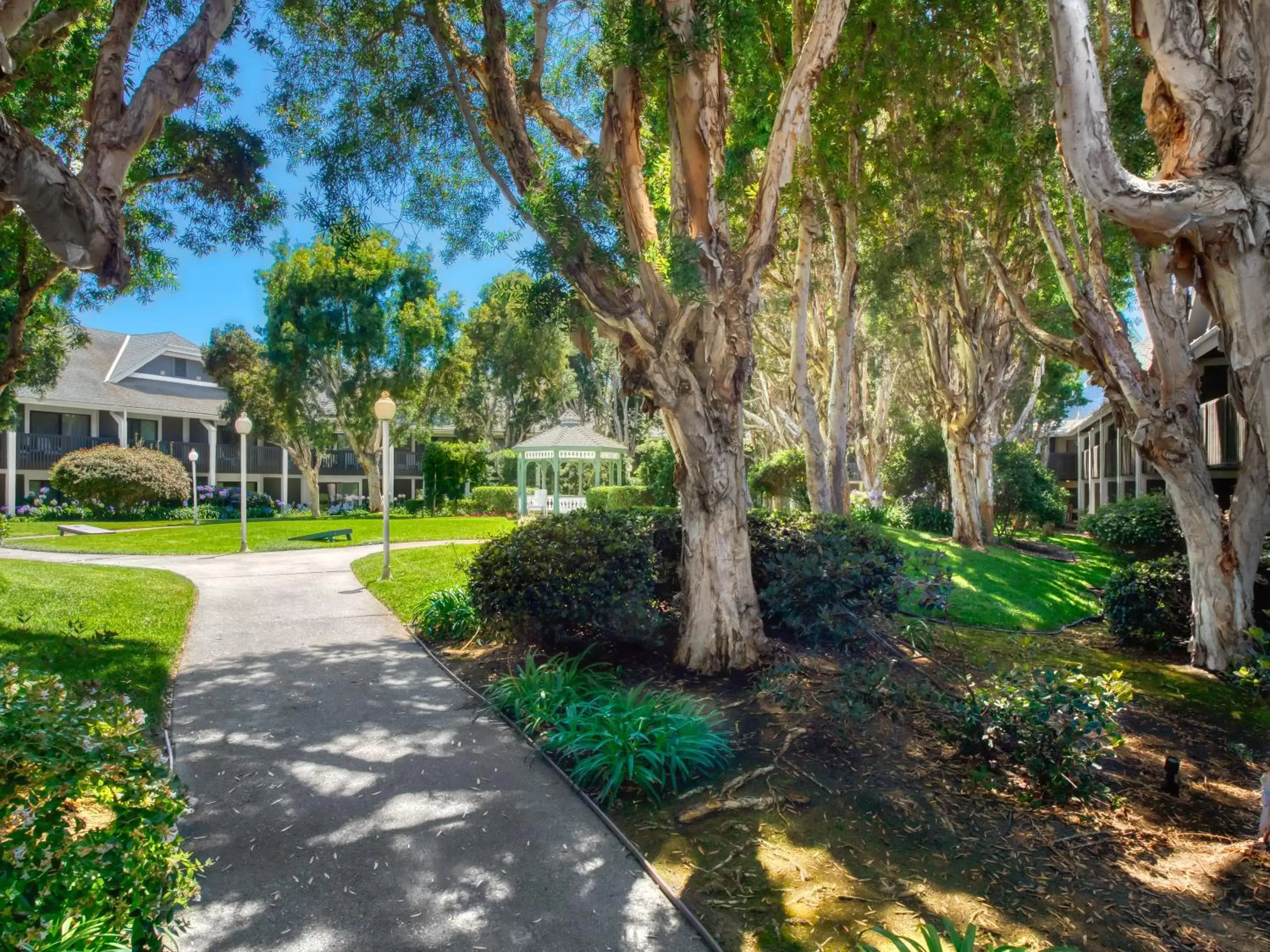 Garden in Carlsbad by the Sea Hotel