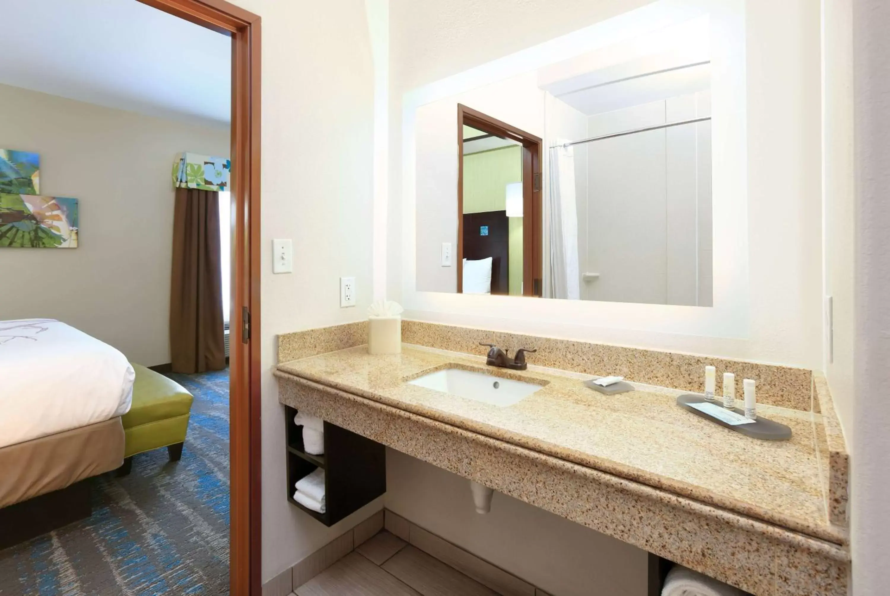 TV and multimedia, Bathroom in La Quinta by Wyndham Dallas Grand Prairie South