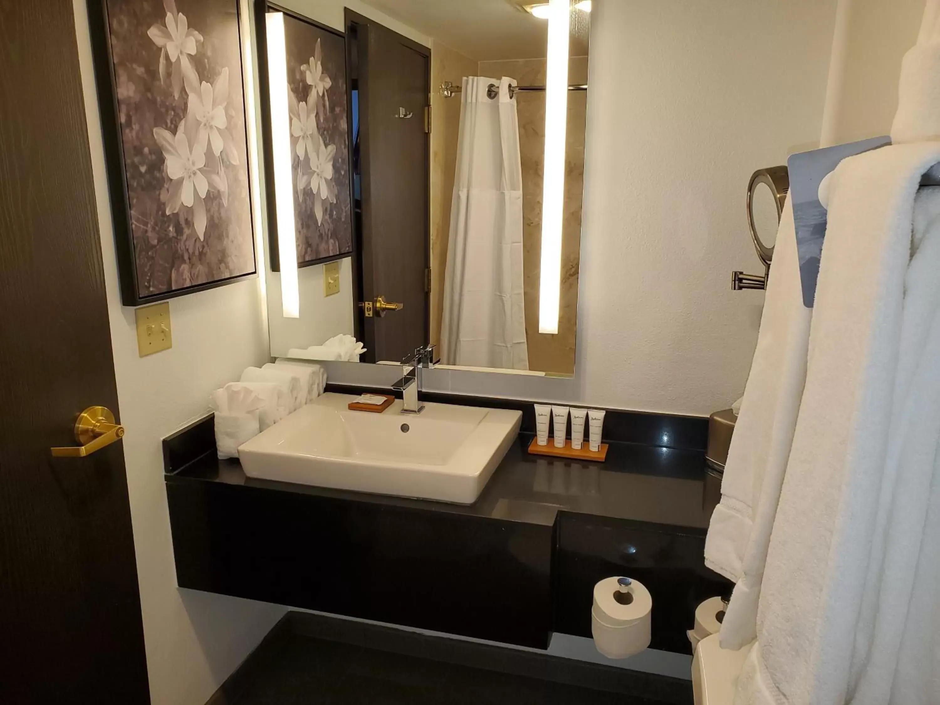 Bathroom in Radisson Hotel Colorado Springs Airport Bathroom in Radisson Hotel Colorado Springs Airport