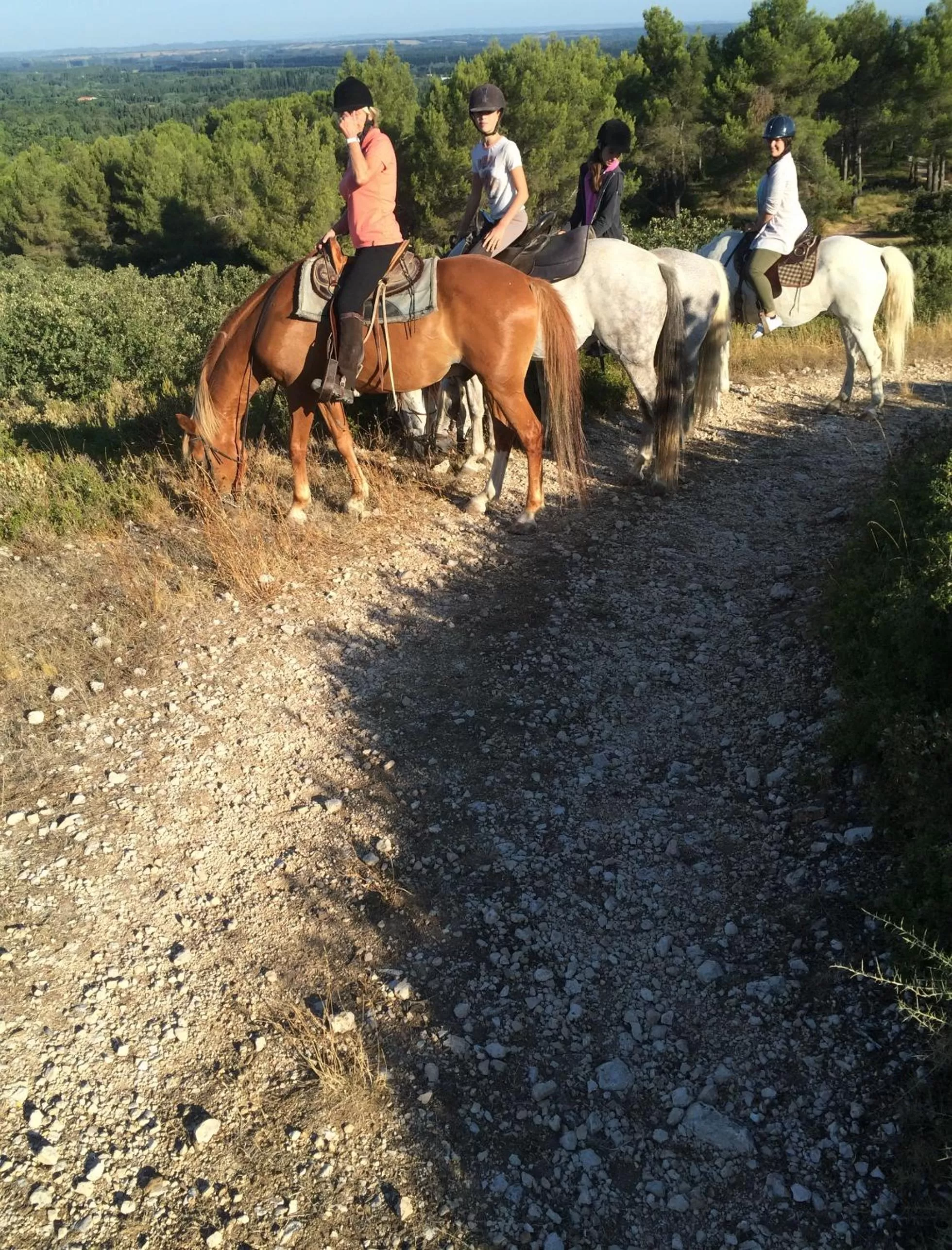 Horse-riding in La Sarriette - Chambres d'hôtes et gîte d'étape à Eygalières