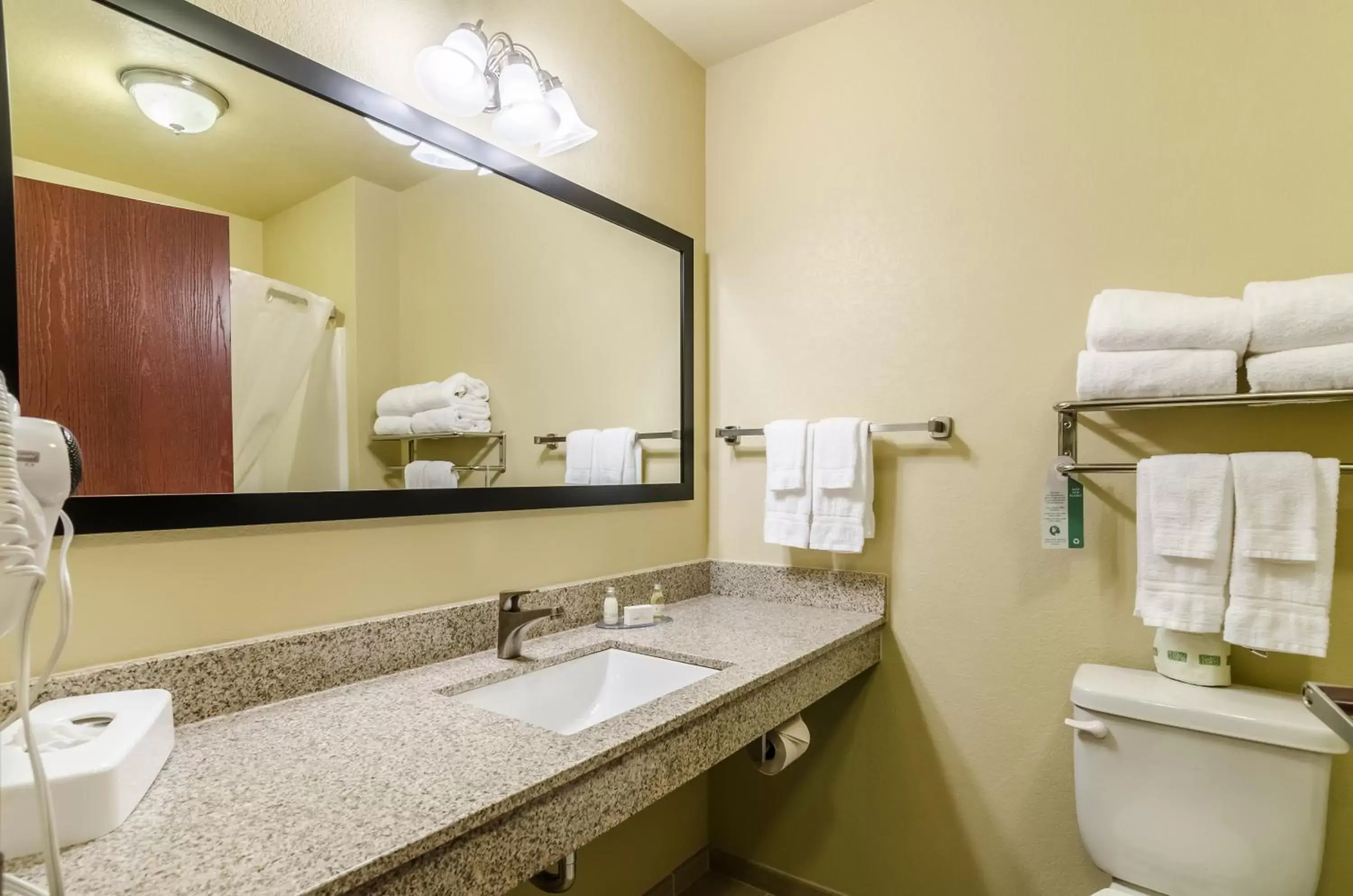 Toilet, Bathroom in Cobblestone Inn & Suites - Oberlin
