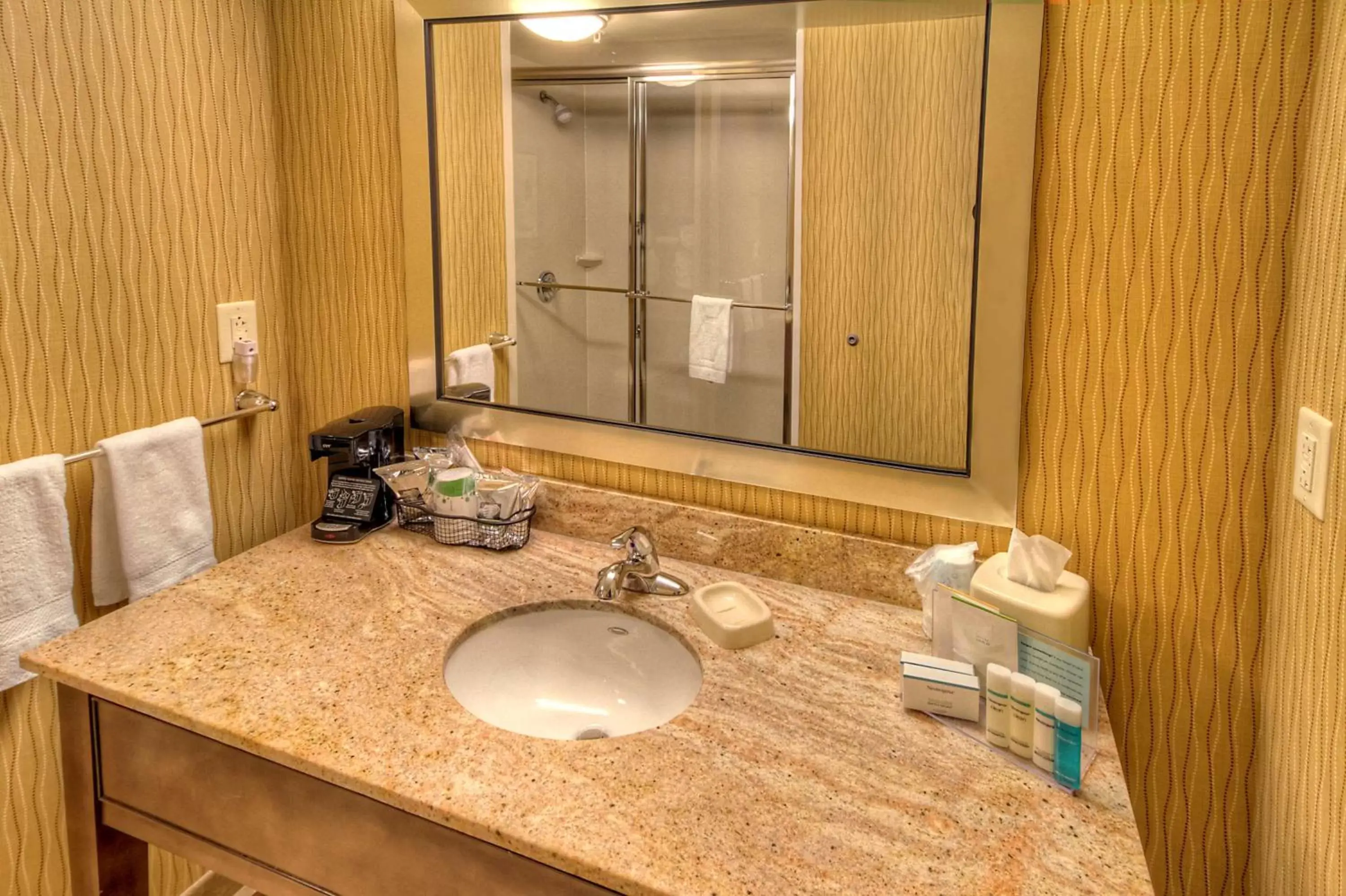 Bathroom in Hampton Inn By Hilton & Suites Rochester/Henrietta