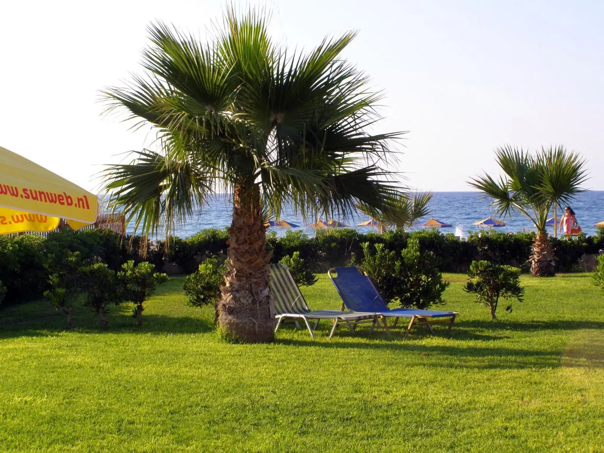 Garden in Ilian Beach