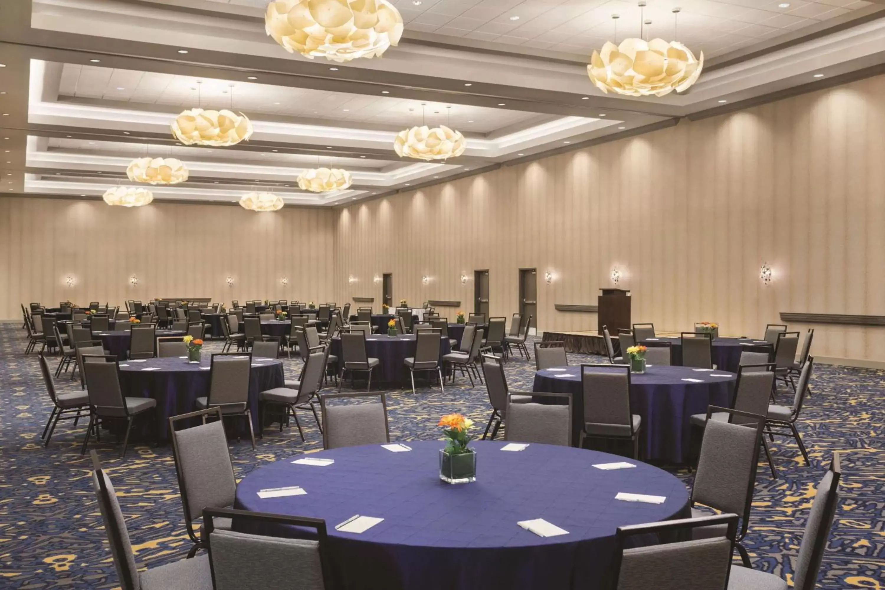 Meeting/conference room, Restaurant/Places to Eat in Embassy Suites by Hilton McAllen Convention Center