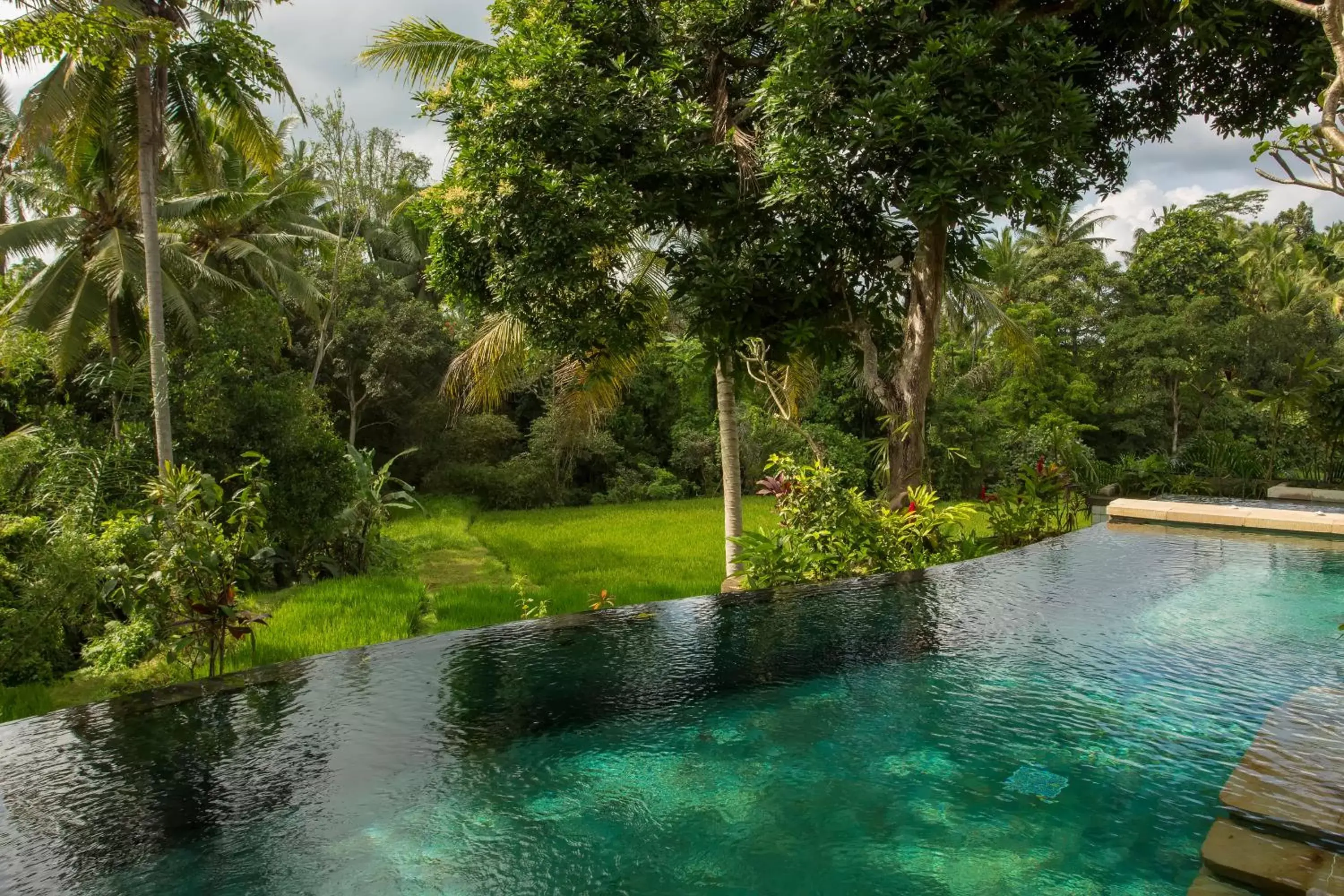 Swimming pool in Dwaraka The Royal Villas Swimming pool in Dwaraka The Royal Villas