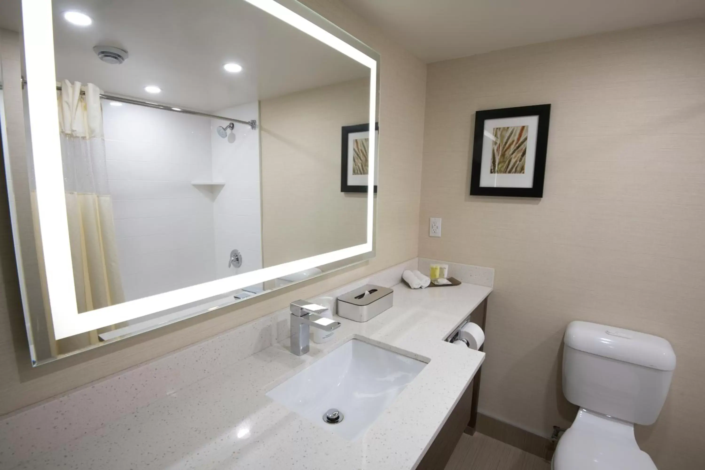 Shower, Bathroom in Victoria Inn Hotel and Convention Center Winnipeg