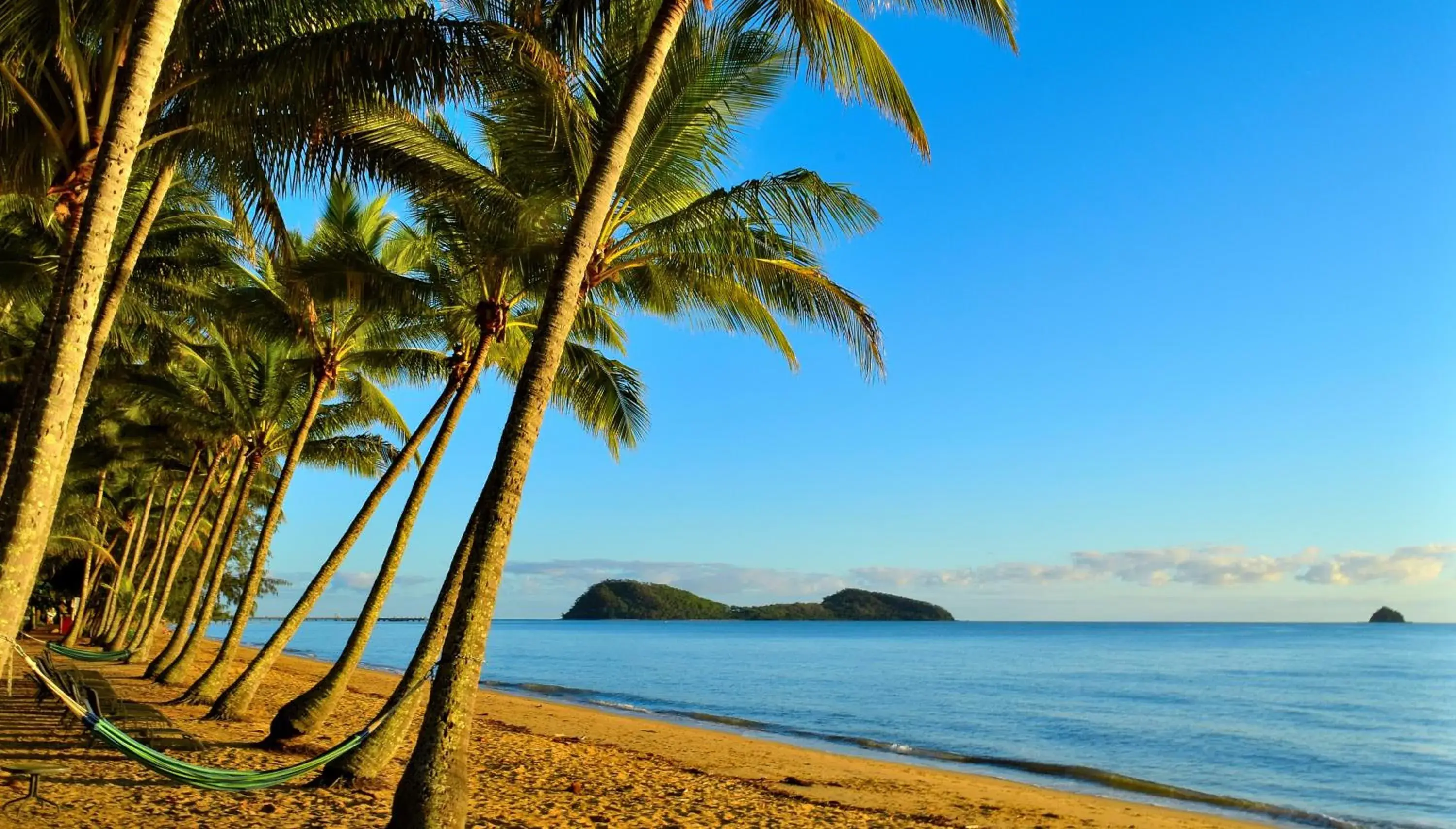 Beach in Mango Lagoon Resort & Wellness Spa Beach in Mango Lagoon Resort & Wellness Spa