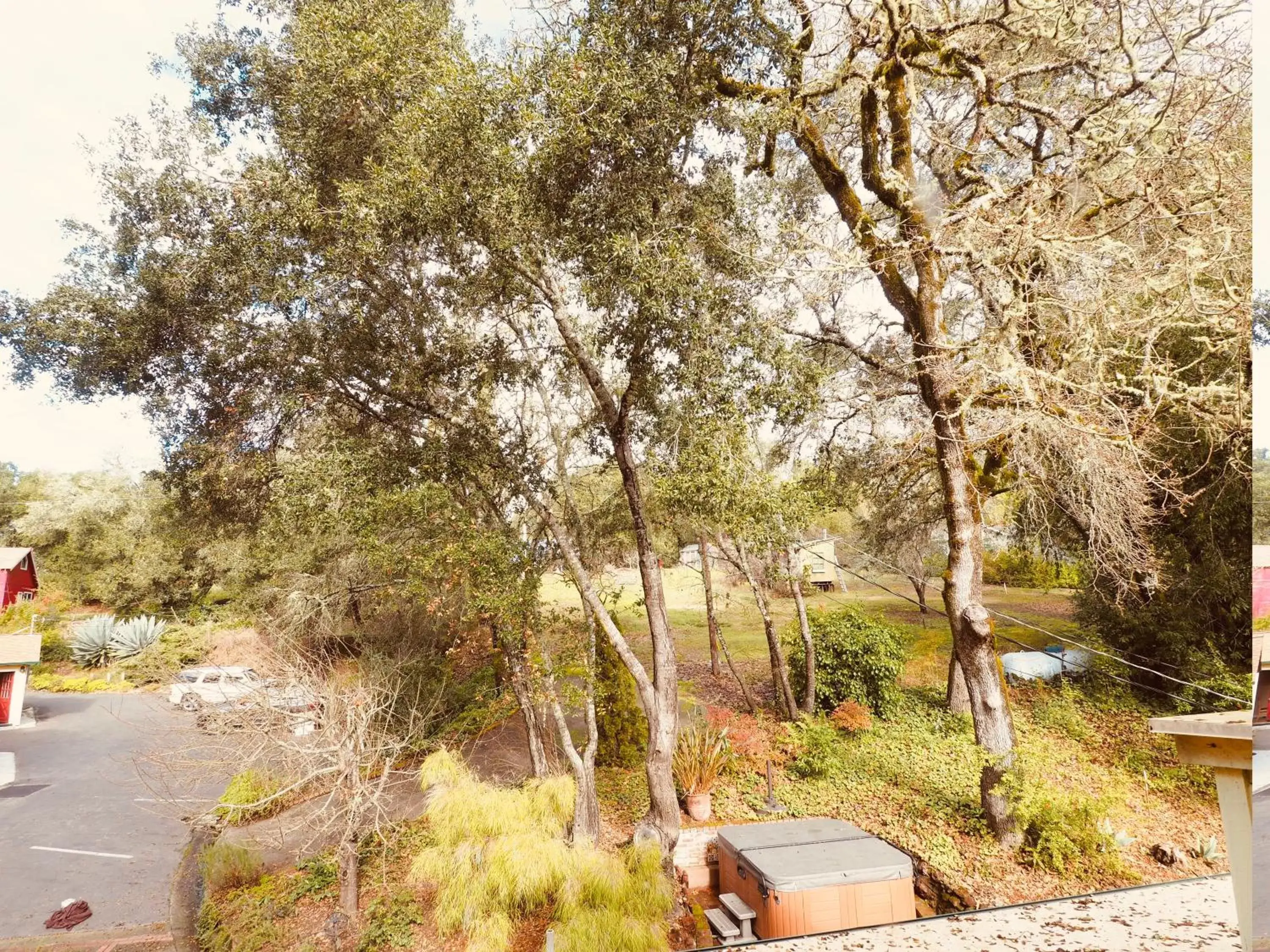 Natural landscape in Mine and Farm, The Inn at Guerneville, CA