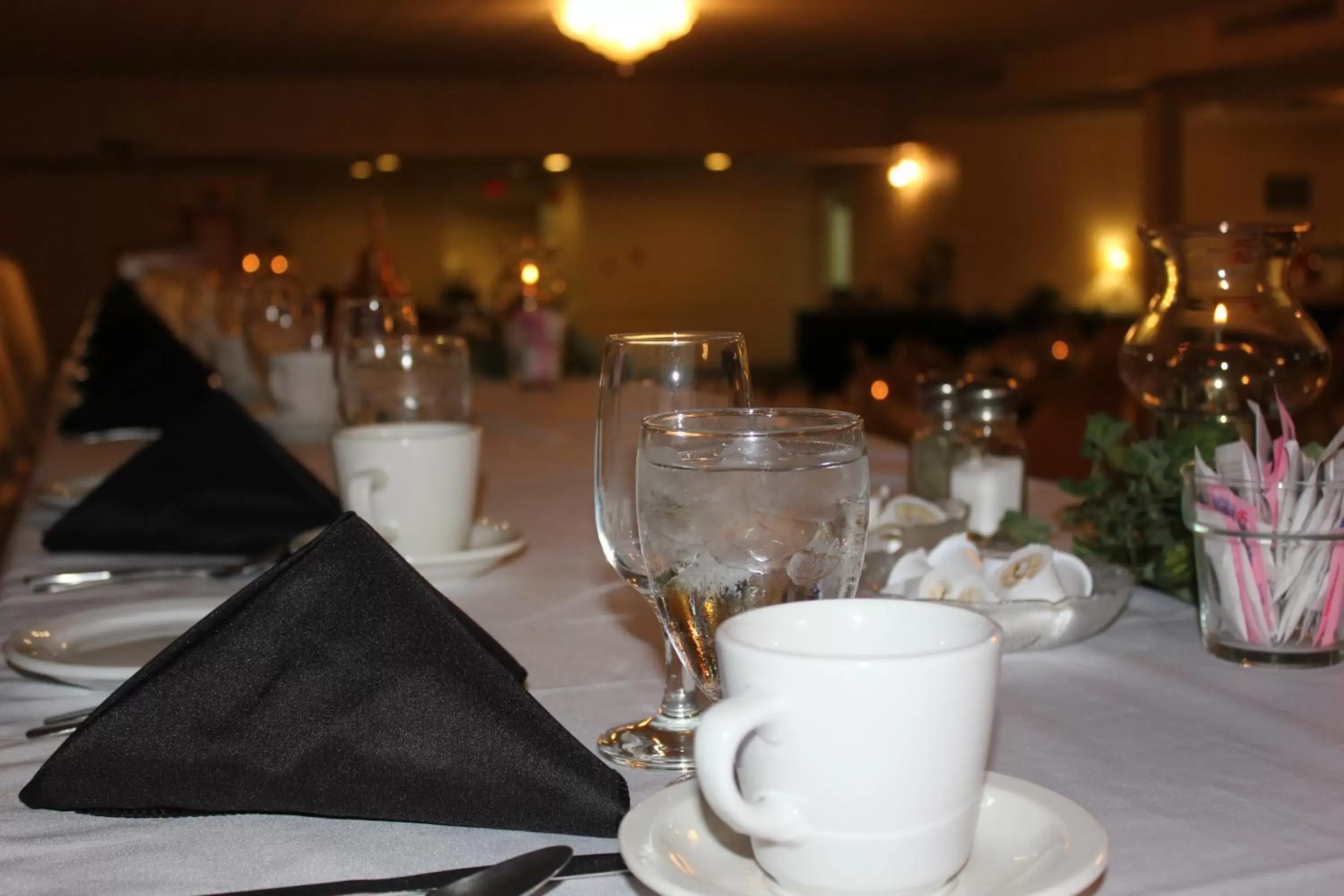 Banquet/Function facilities in Coronet Hotel