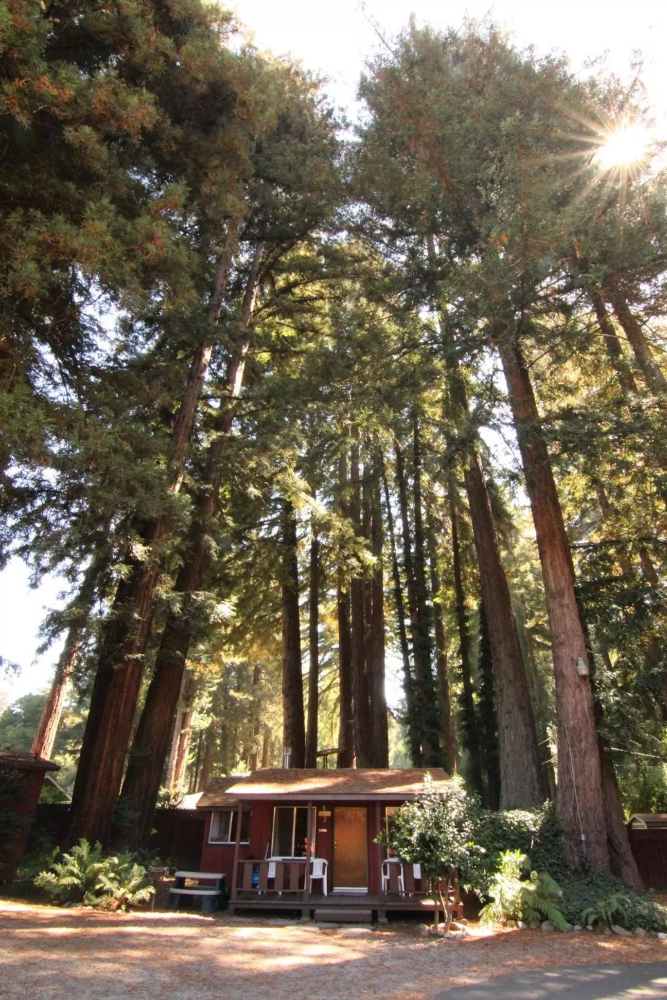 Property Building in Fern River Resort