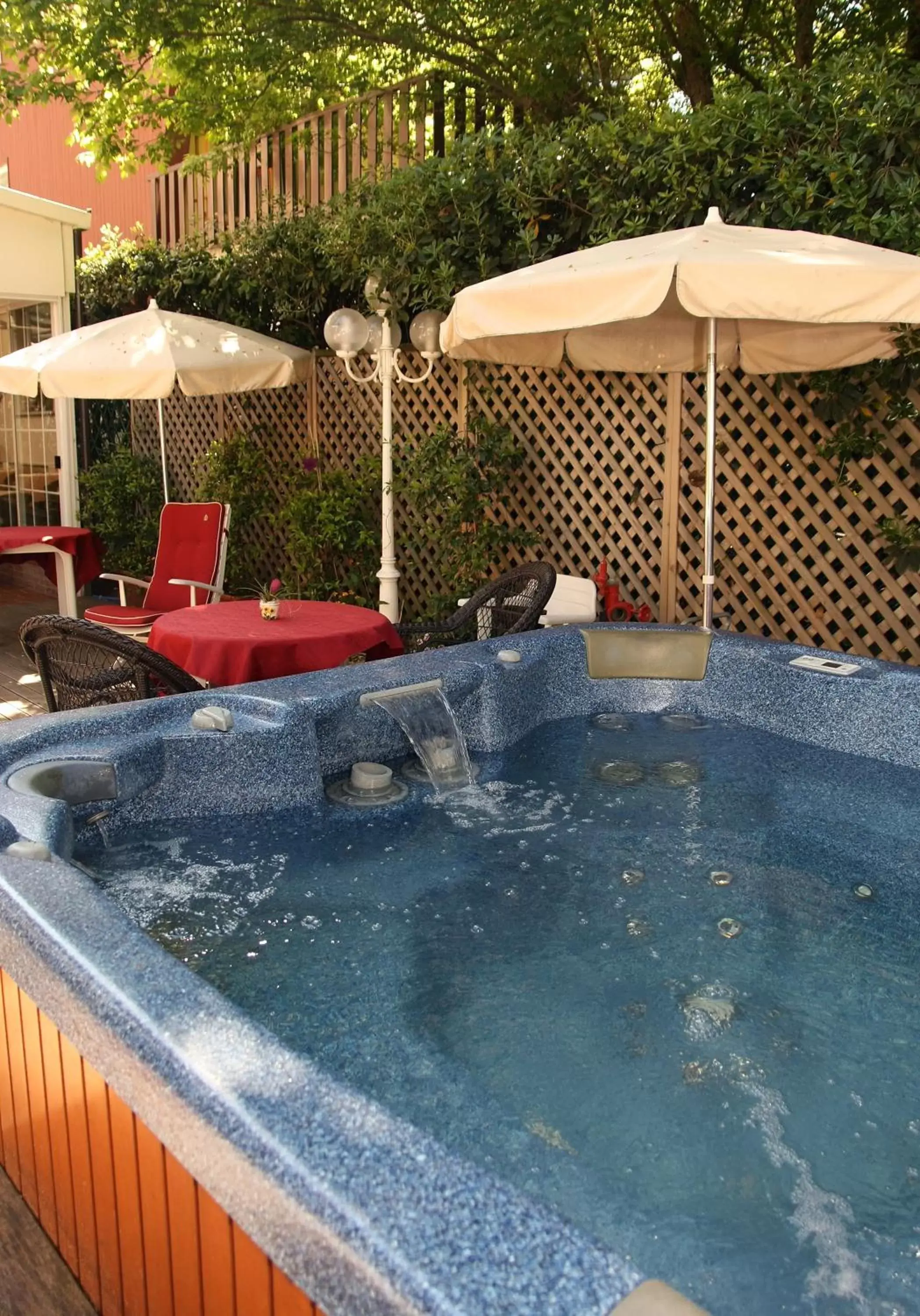 Garden, Swimming Pool in Hotel Santiago
