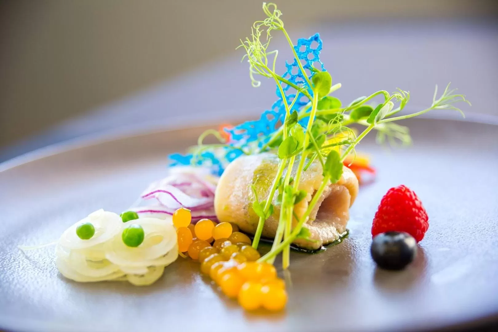 Food and drinks in Qubus Hotel Zielona Góra