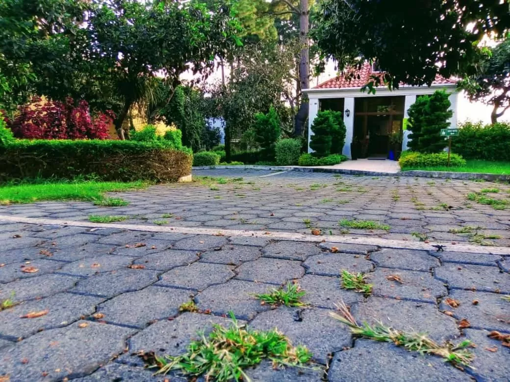 Lobby or reception, Garden in HOTEL Y RESTAURANTE HACIENDA LOS VOLCANES