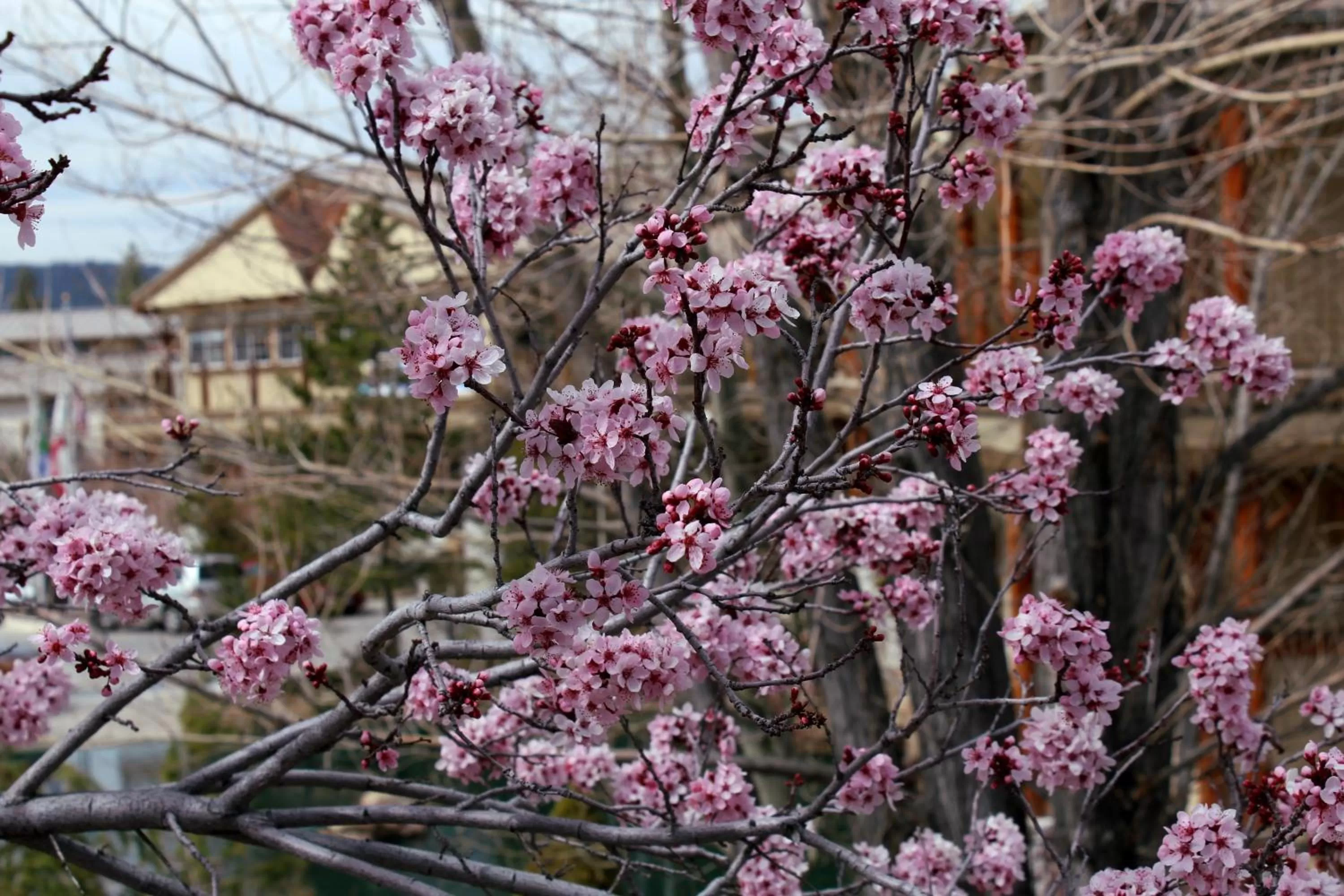 Other in Holiday Inn Resort The Lodge at Big Bear Lake by IHG
