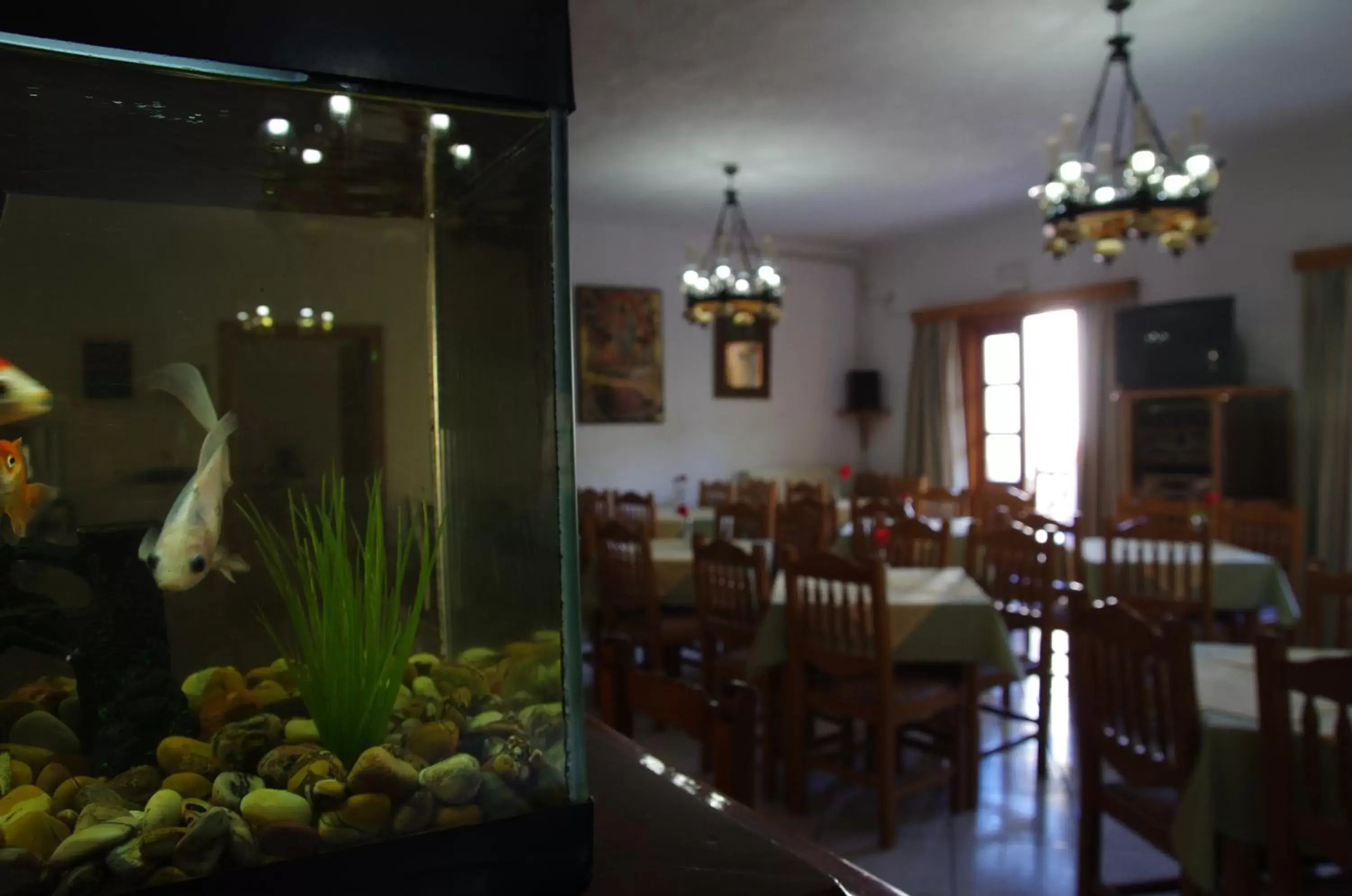 Restaurant/places to eat in Effie Hotel Restaurant/places to eat in Effie Hotel