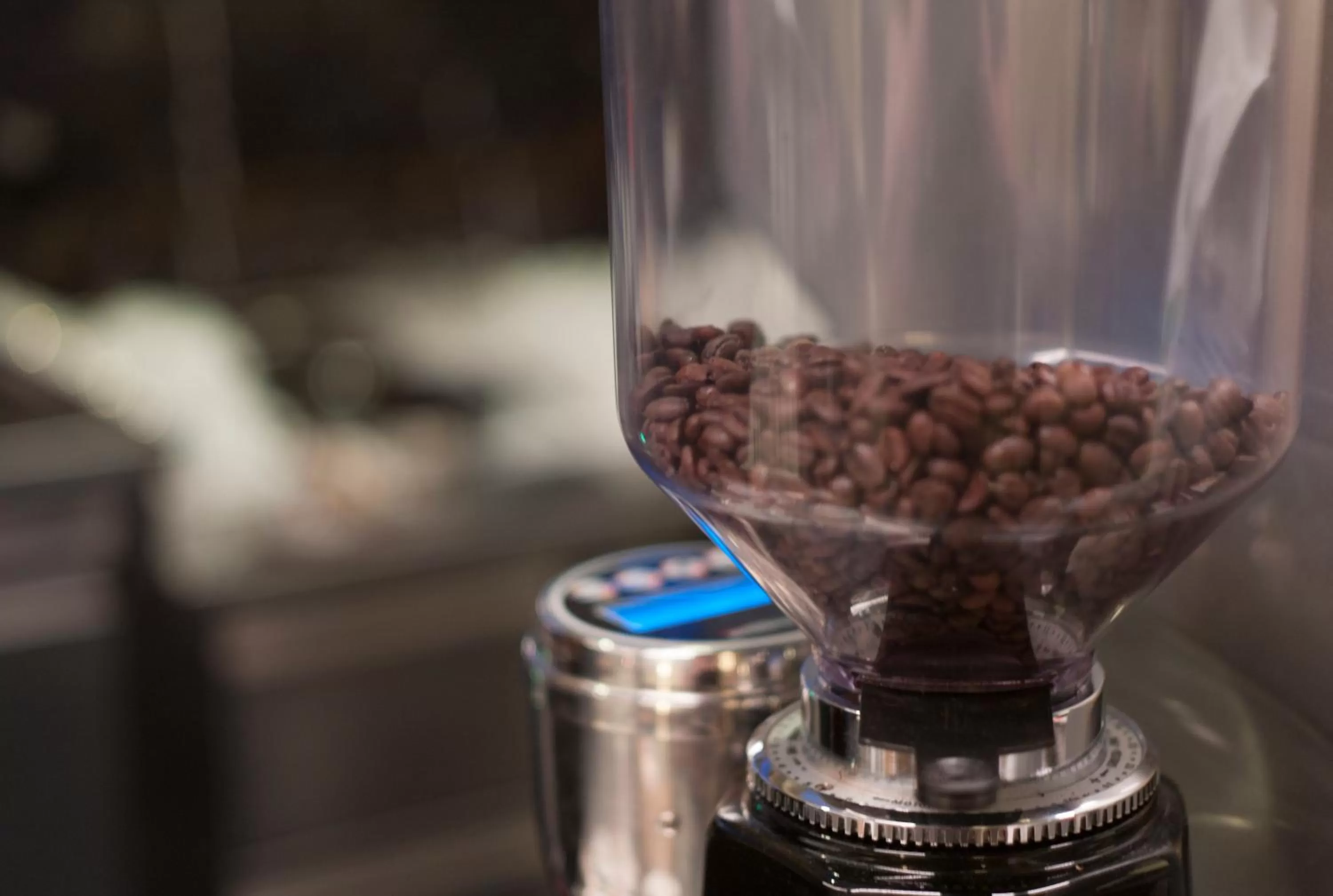 Restaurant/places to eat in WELLNESS HOTEL LÖWE