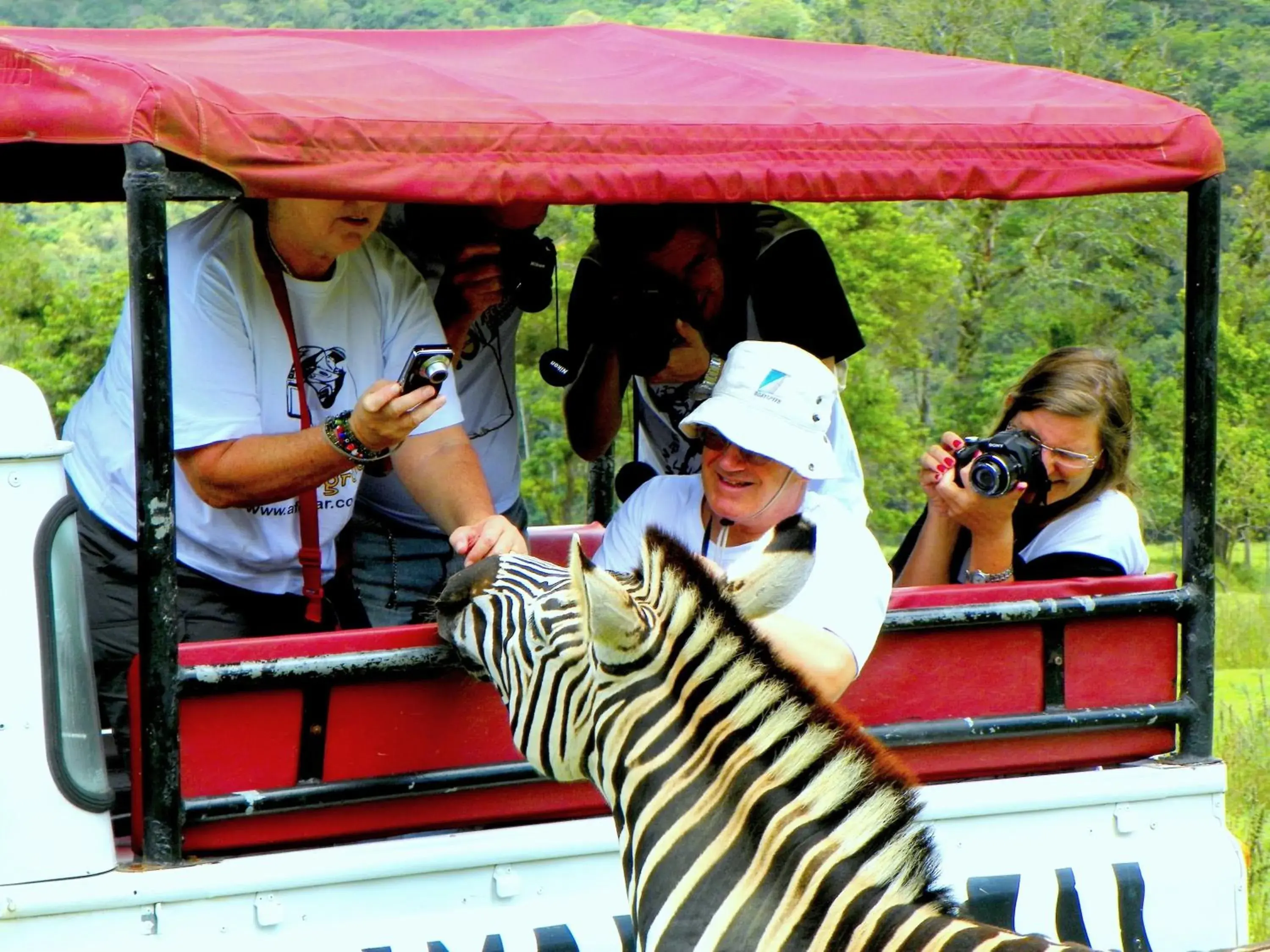 Animals in Hotel Portobello Resort & Safari