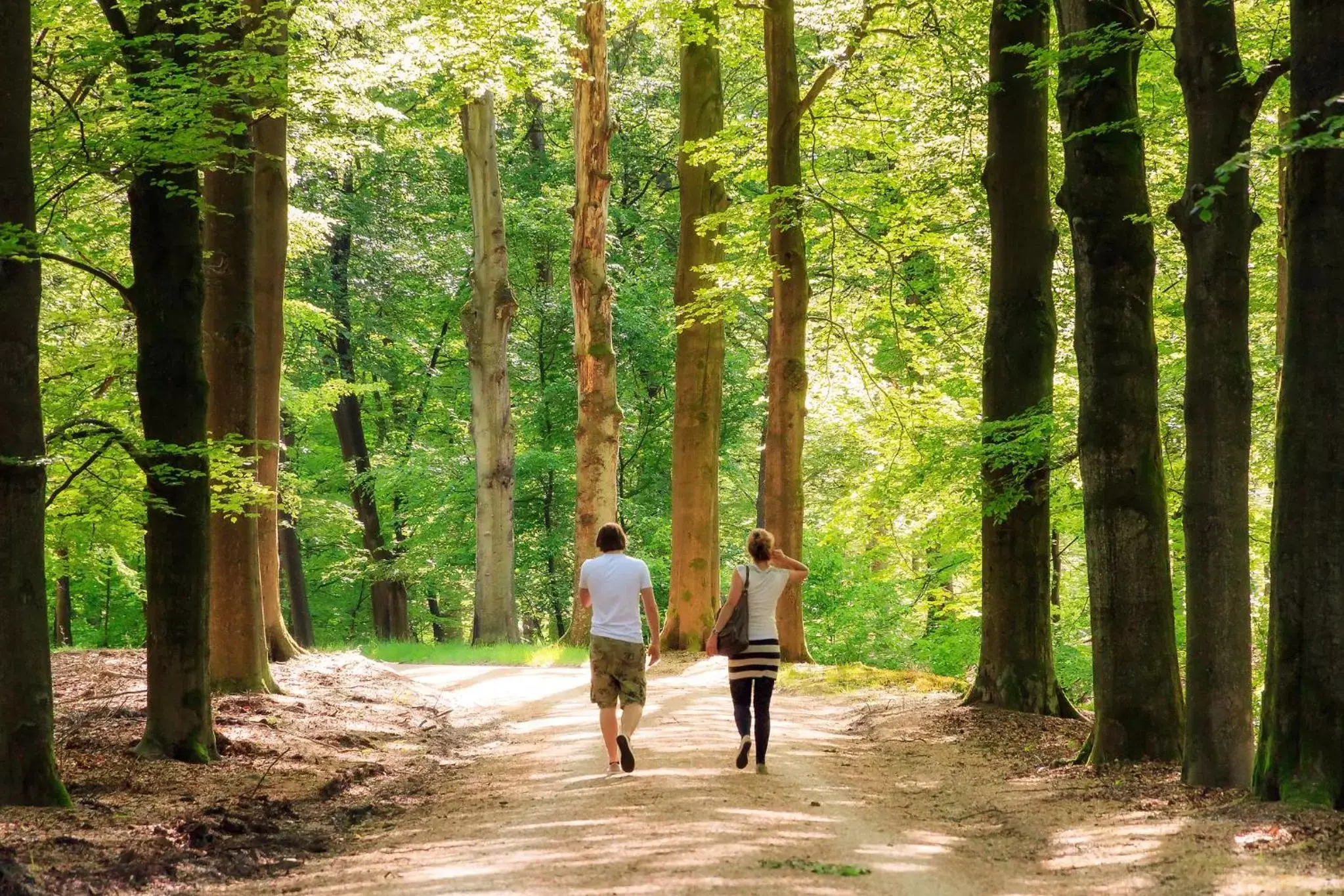 People in Heerlickheijd van Ermelo