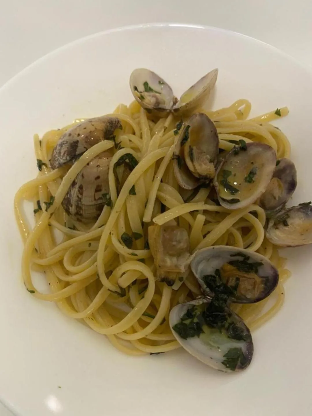 Restaurant/places to eat in Hotel Virgilio