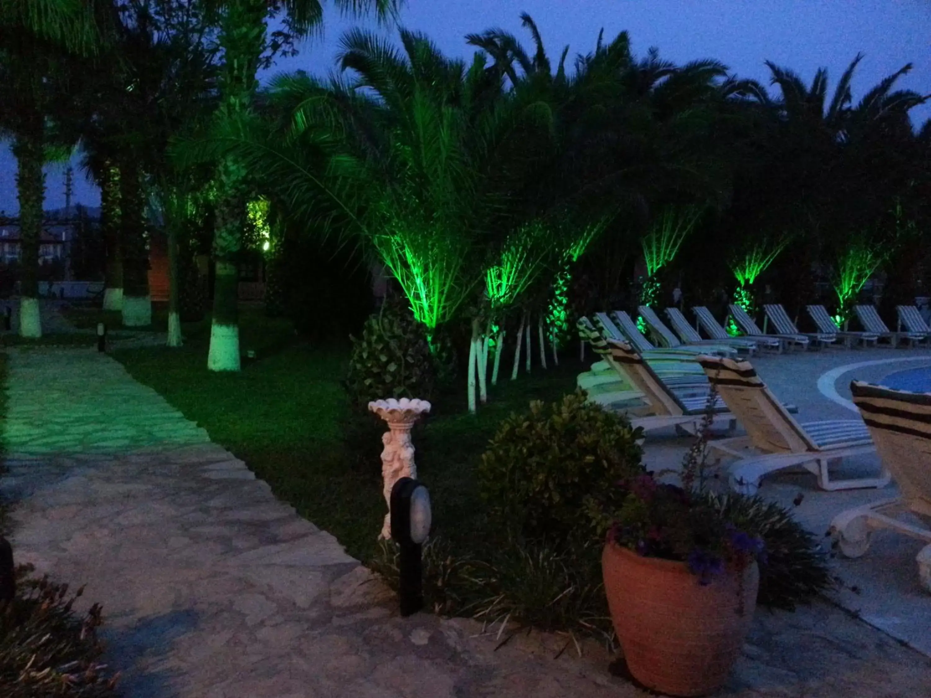 Garden, Pool View in Hotel Palme Dalyan